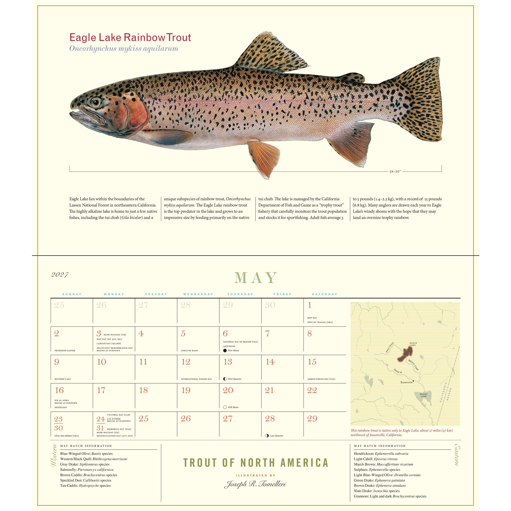 Trout of North America 2027 Wall Calendar