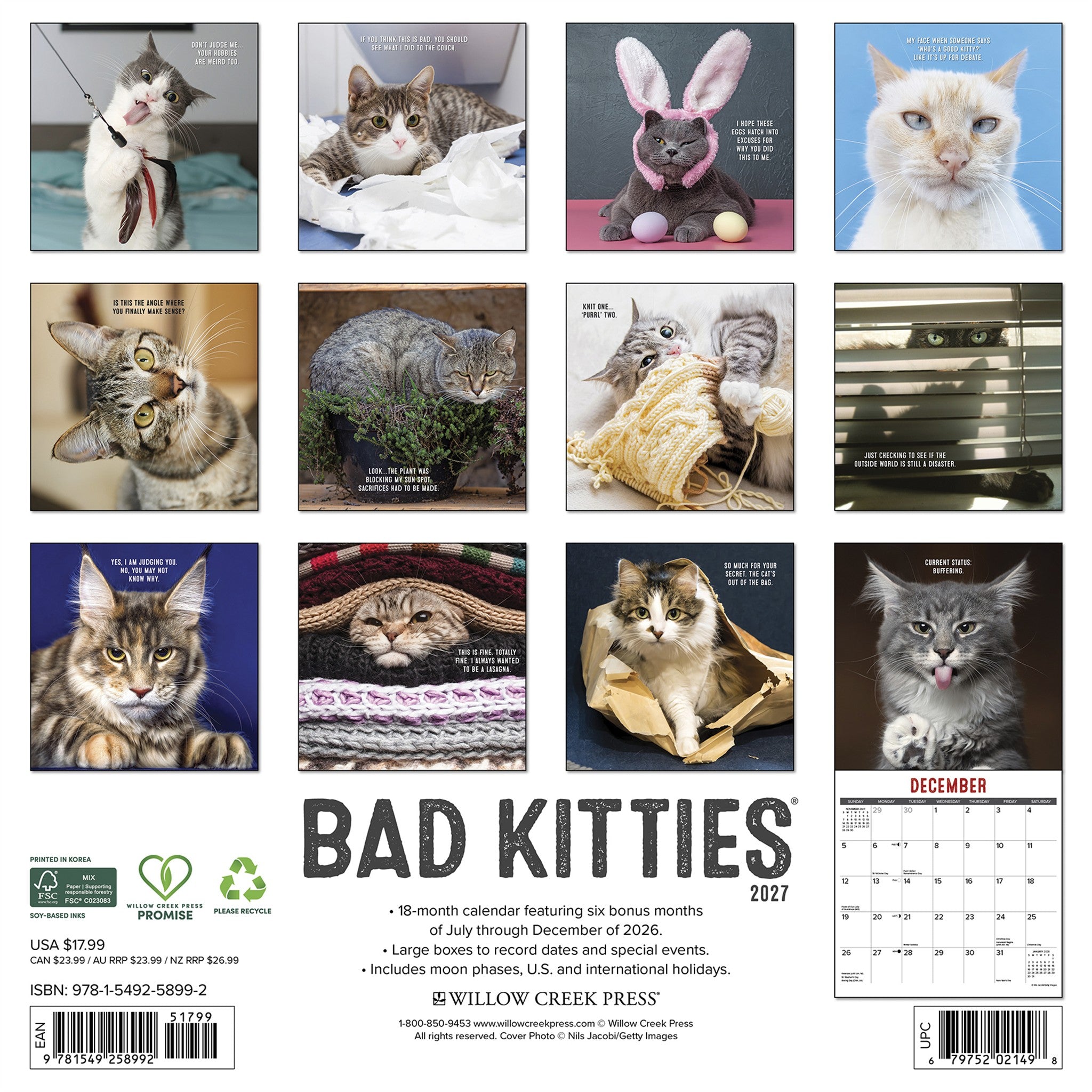 Bad Kitties 2027 Wall Calendar