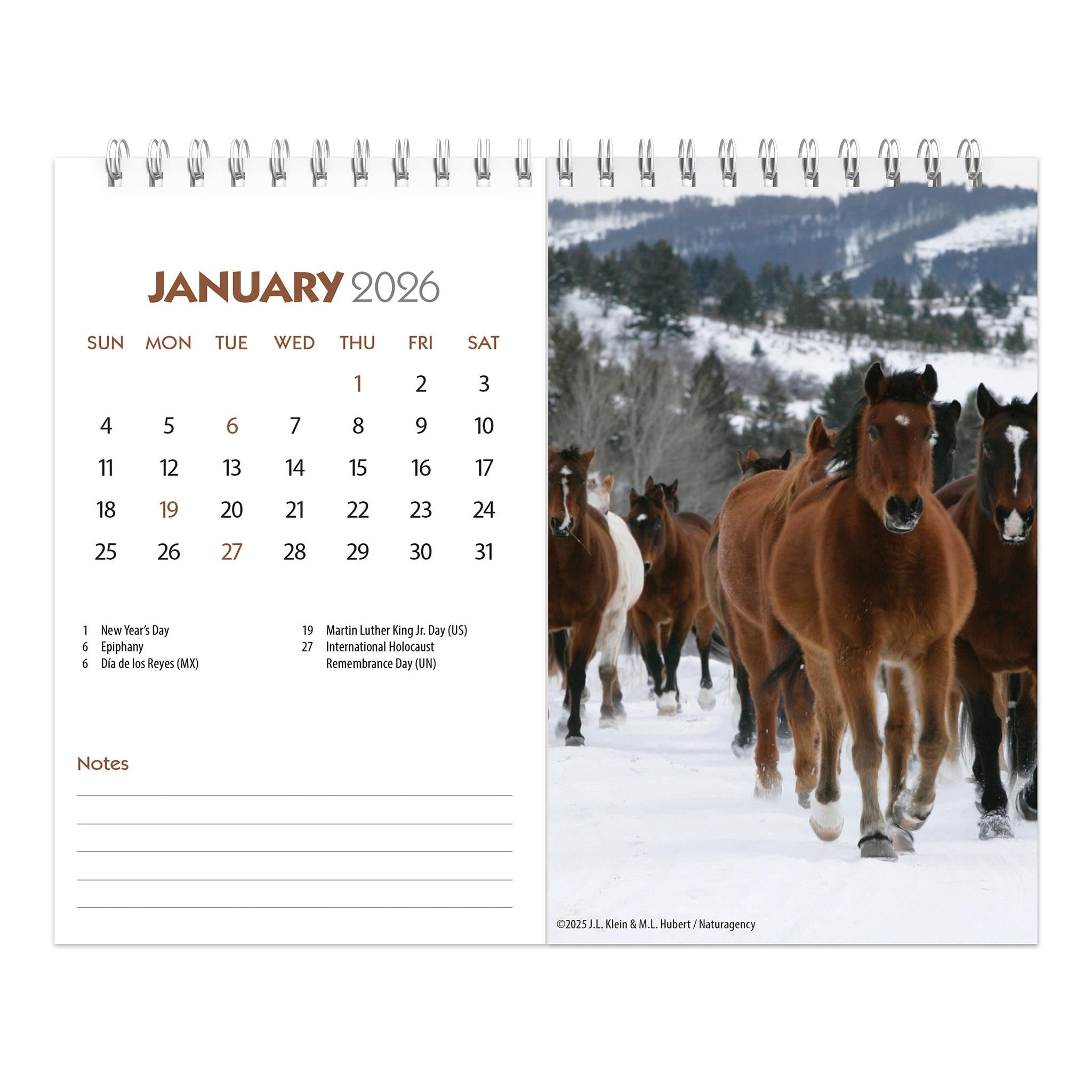Horse Lovers 2026 Double View Easel Calendar - Online Only