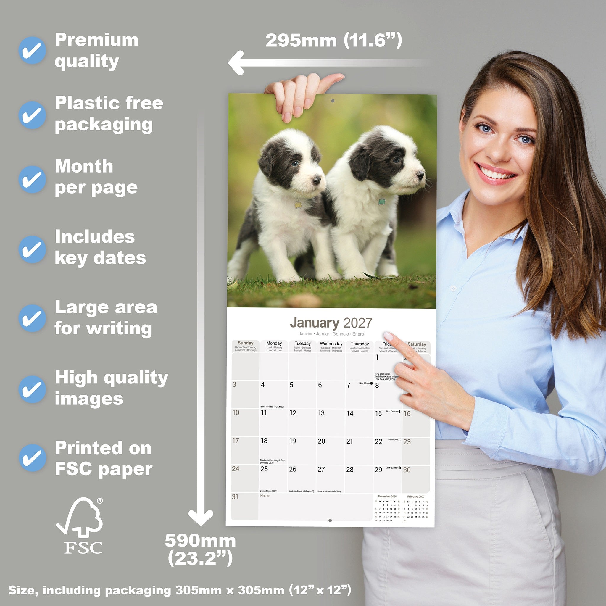 Bearded Collie 2027 Wall Calendar
