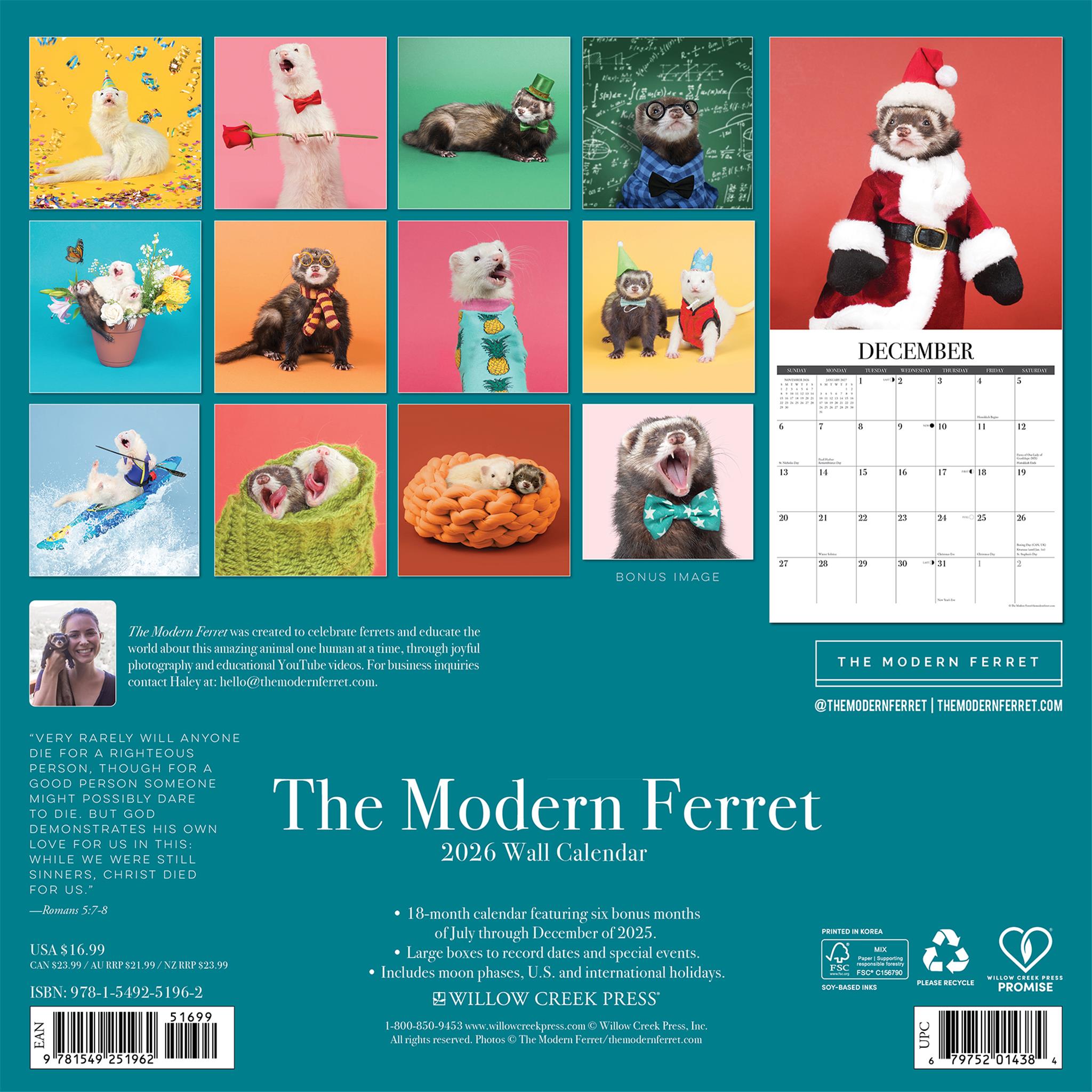 Modern Ferret 2026 Wall Calendar