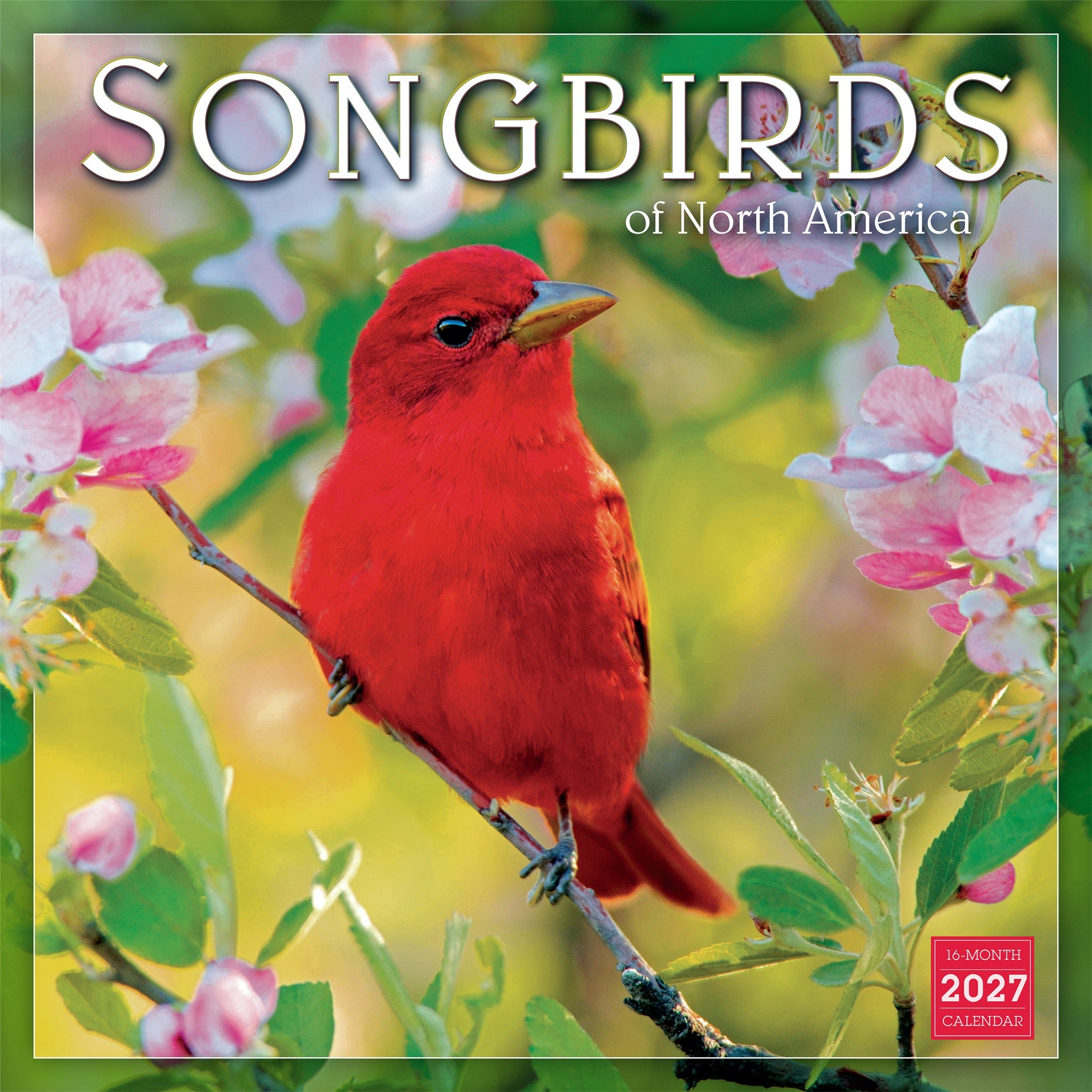 Songbirds of North America 2027 Wall Calendar
