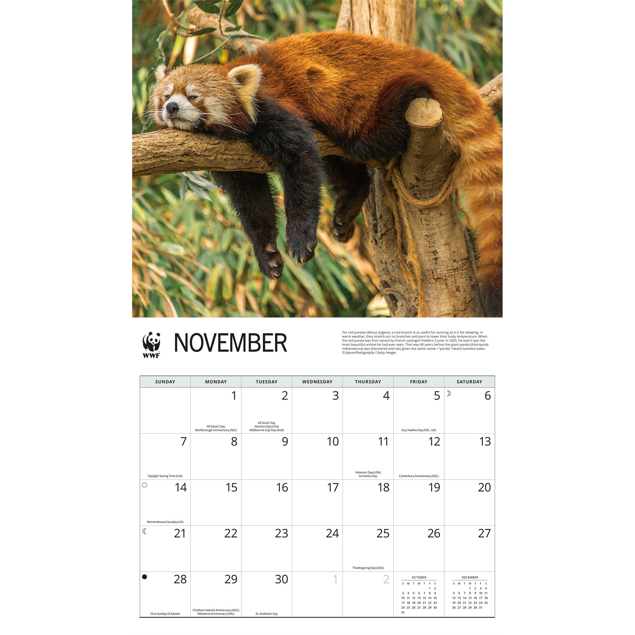 World Wildlife Fund Red Pandas 2027 Wall Calendar