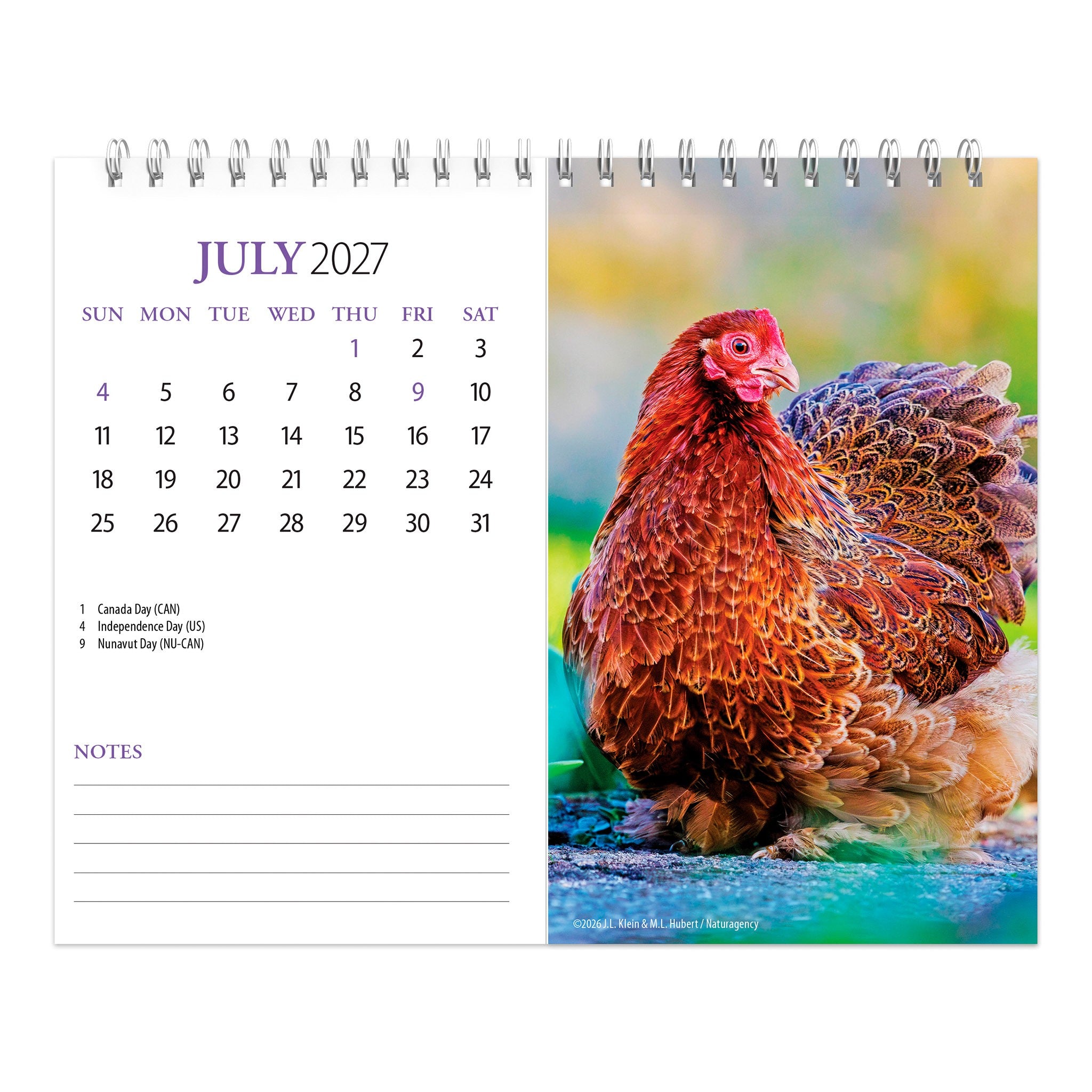 Chickens Double-View 2027 Easel Calendar - Online Only