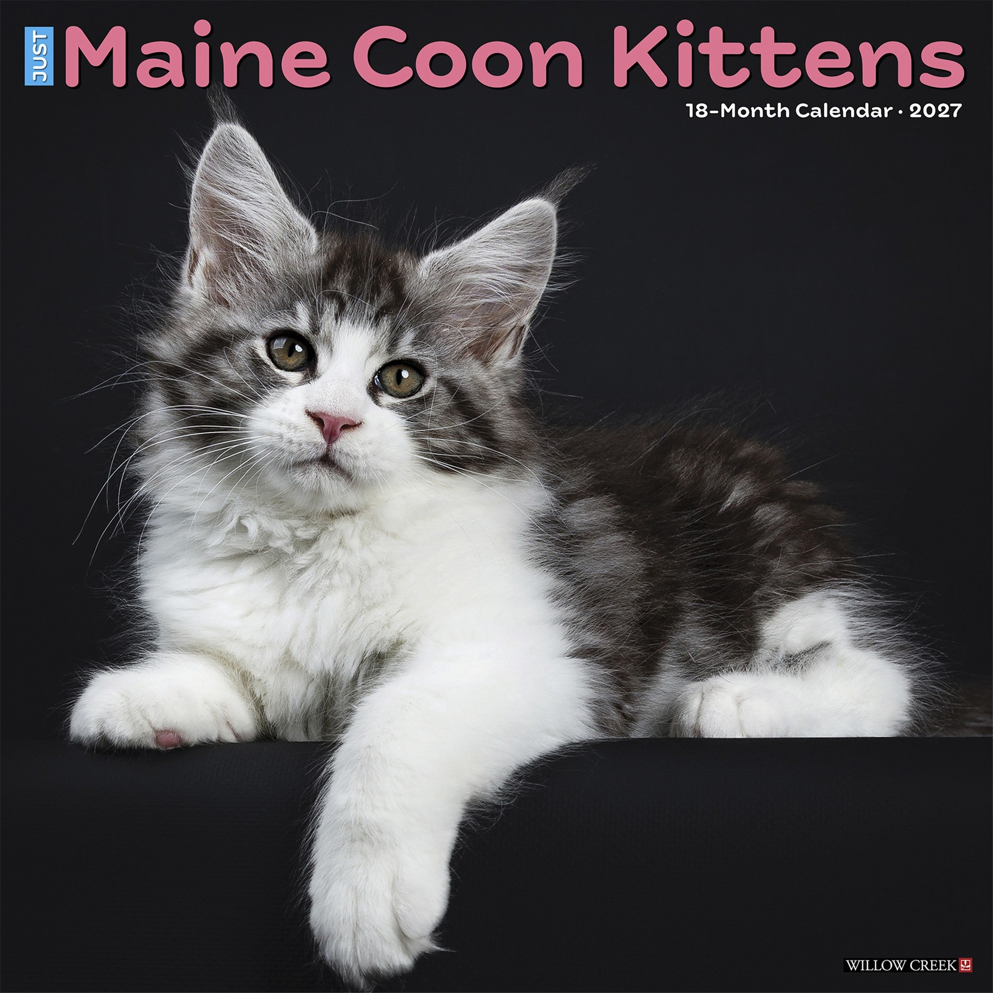 Maine Coon Kittens 2027 Wall Calendar