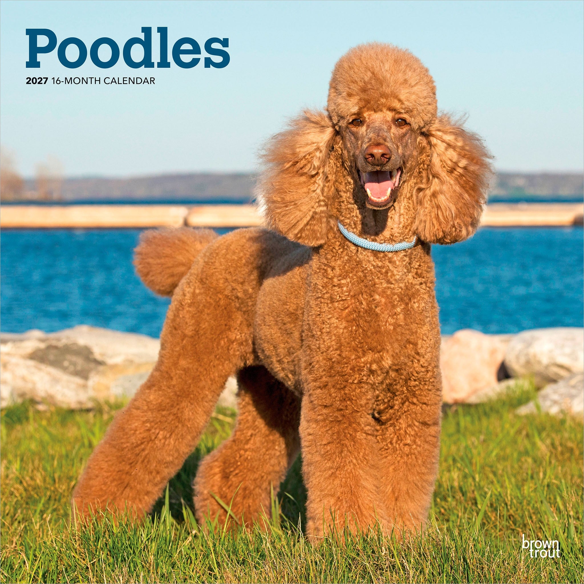 Poodles 2027 Wall Calendar
