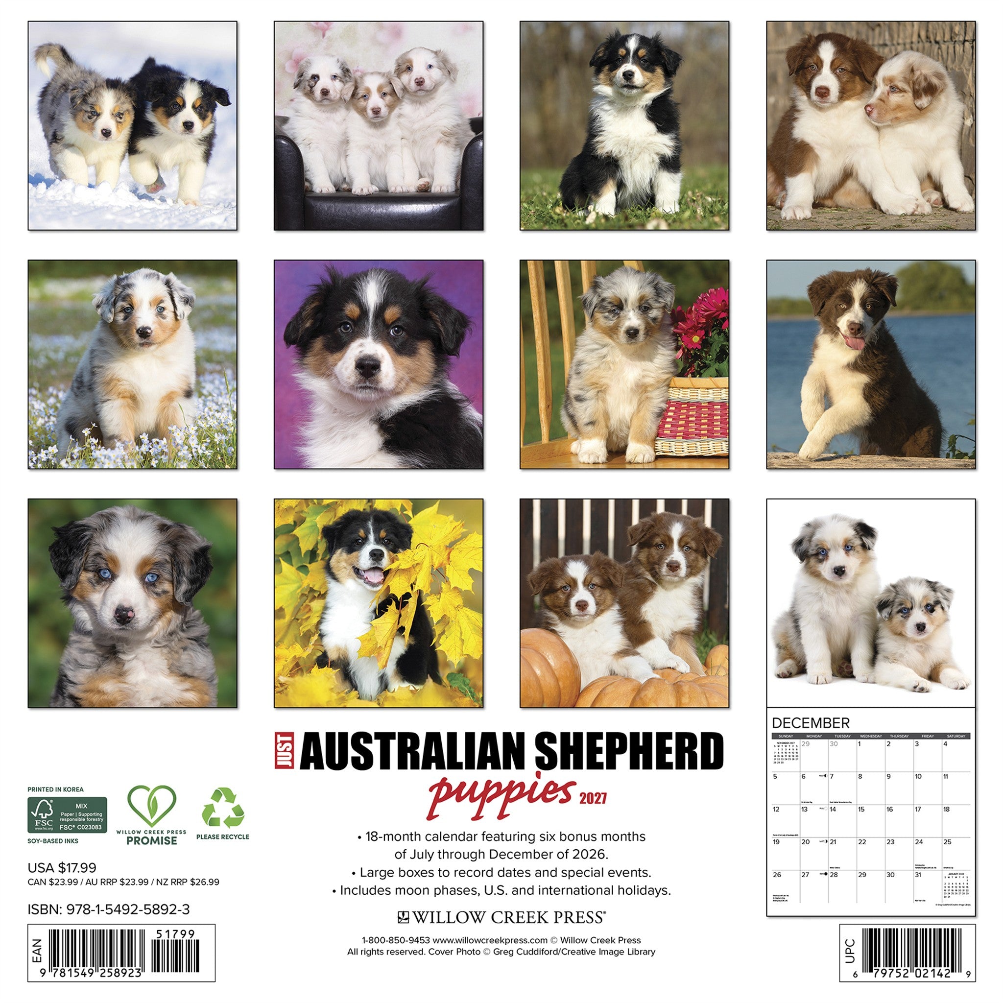 Australian Shepherd Puppies 2027 Wall Calendar