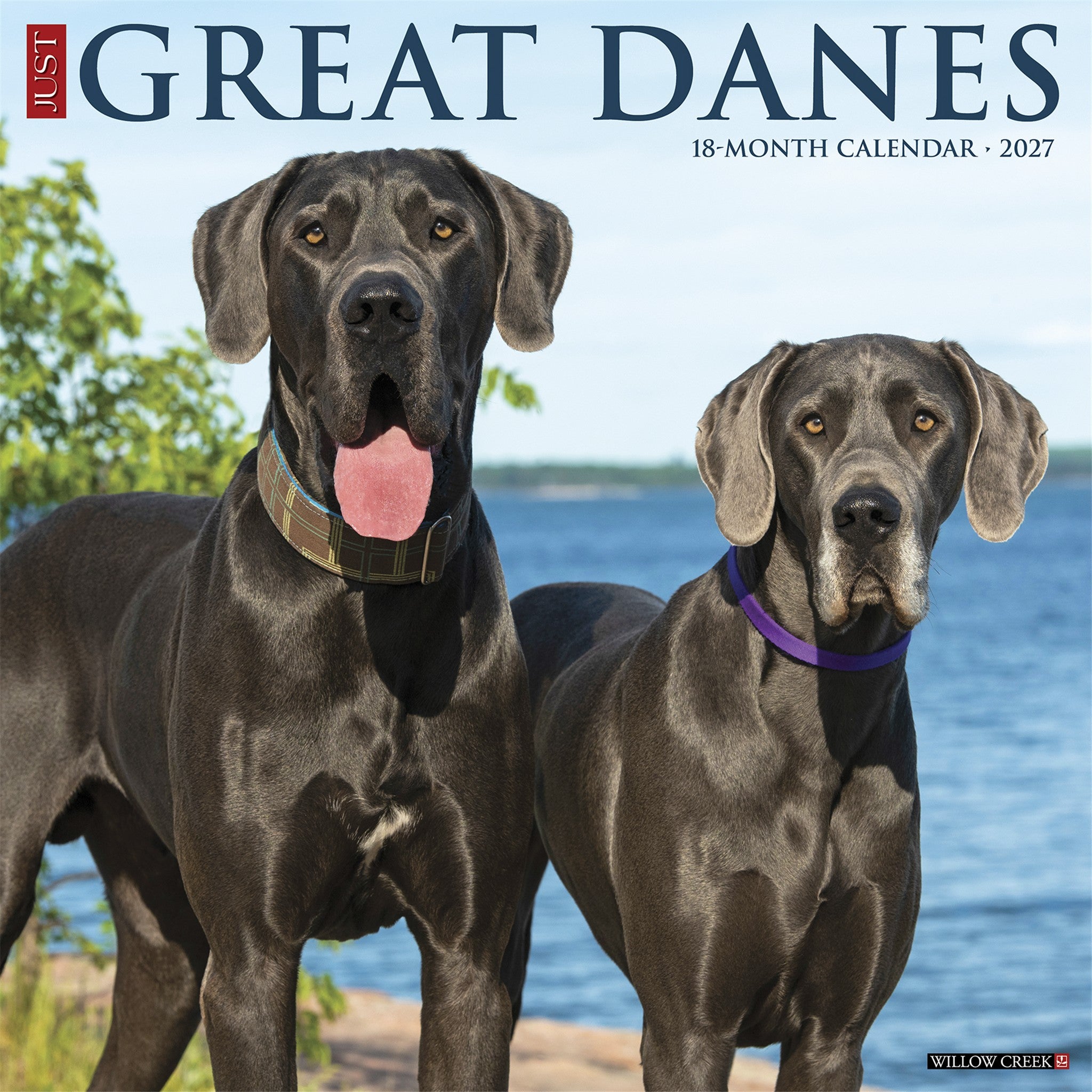 Great Danes 2027 Wall Calendar