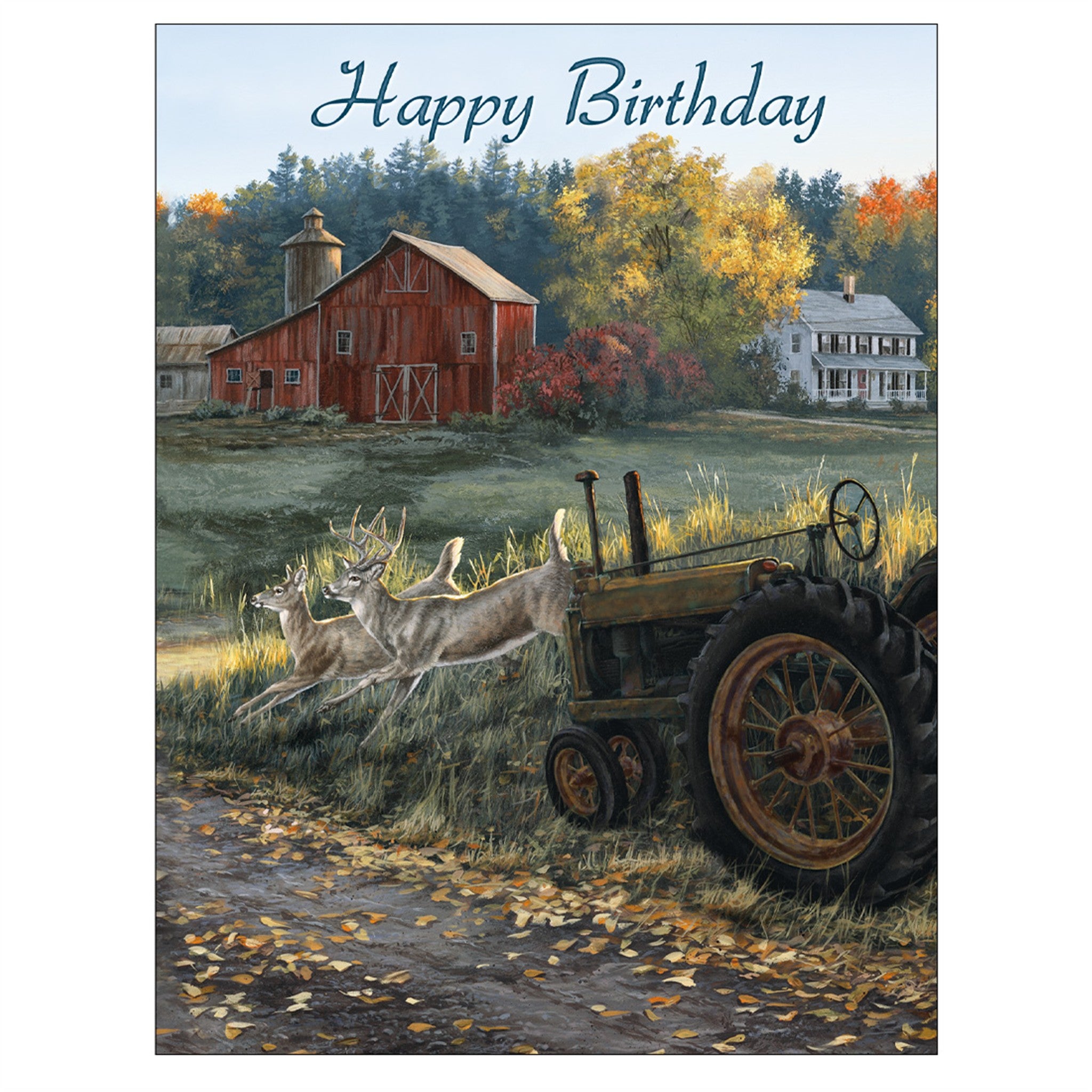 Cabin View Special Edition 2027 Wall Calendar