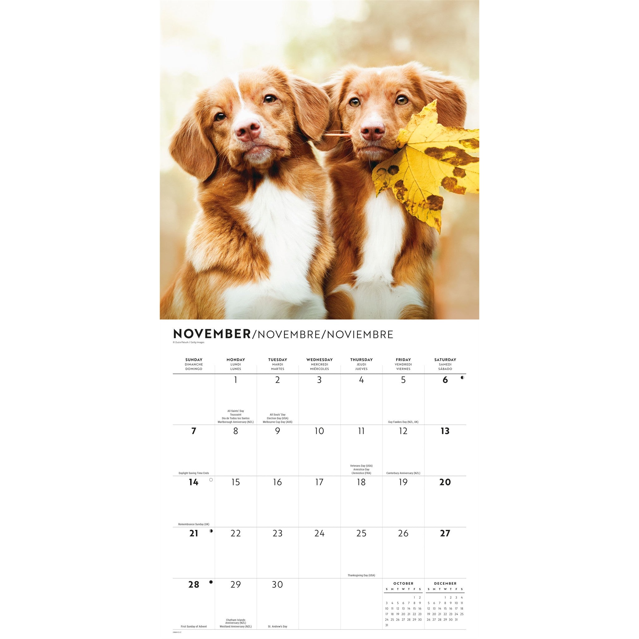 Puppy Love 2027 Wall Calendar