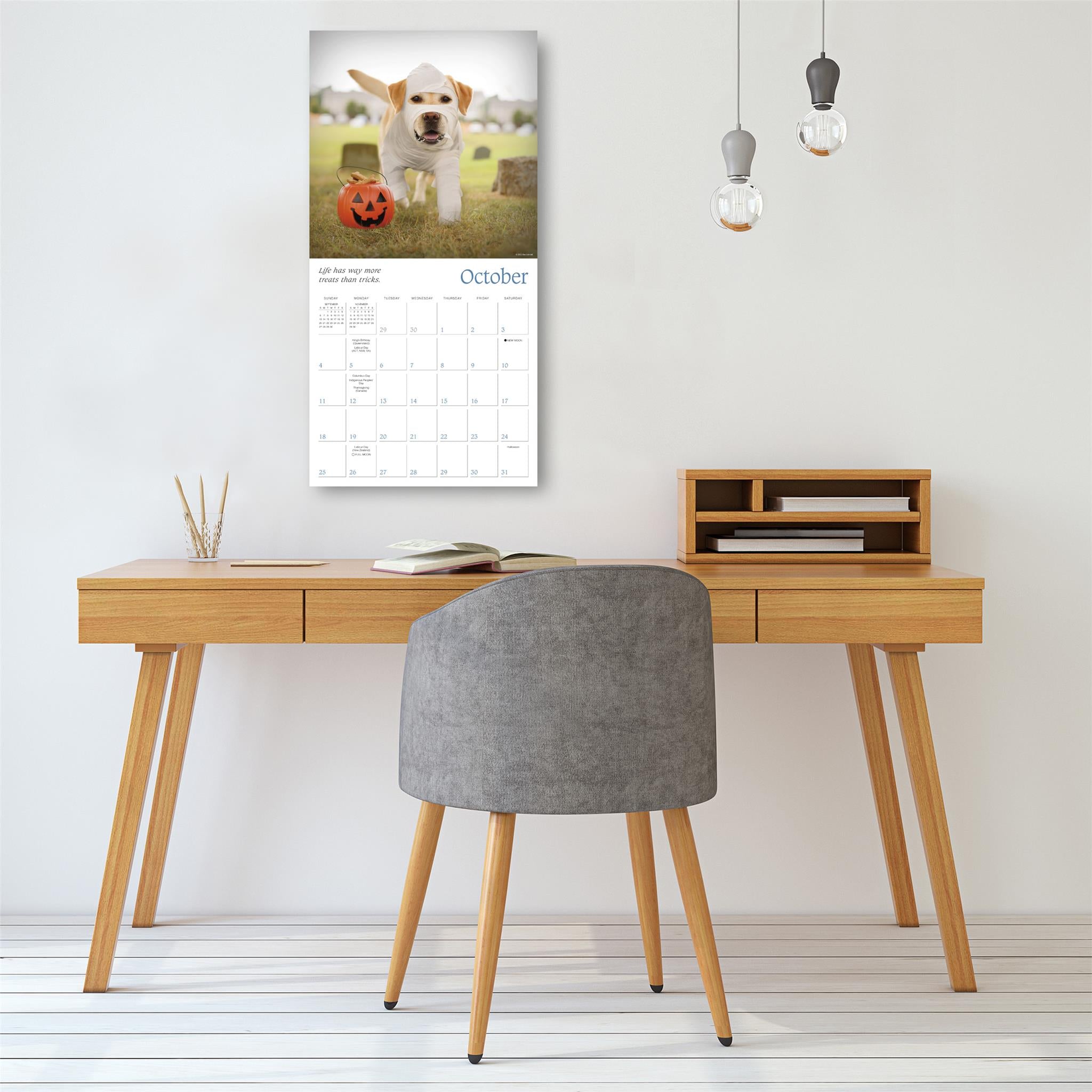 Dogma 2026 Wall Calendar