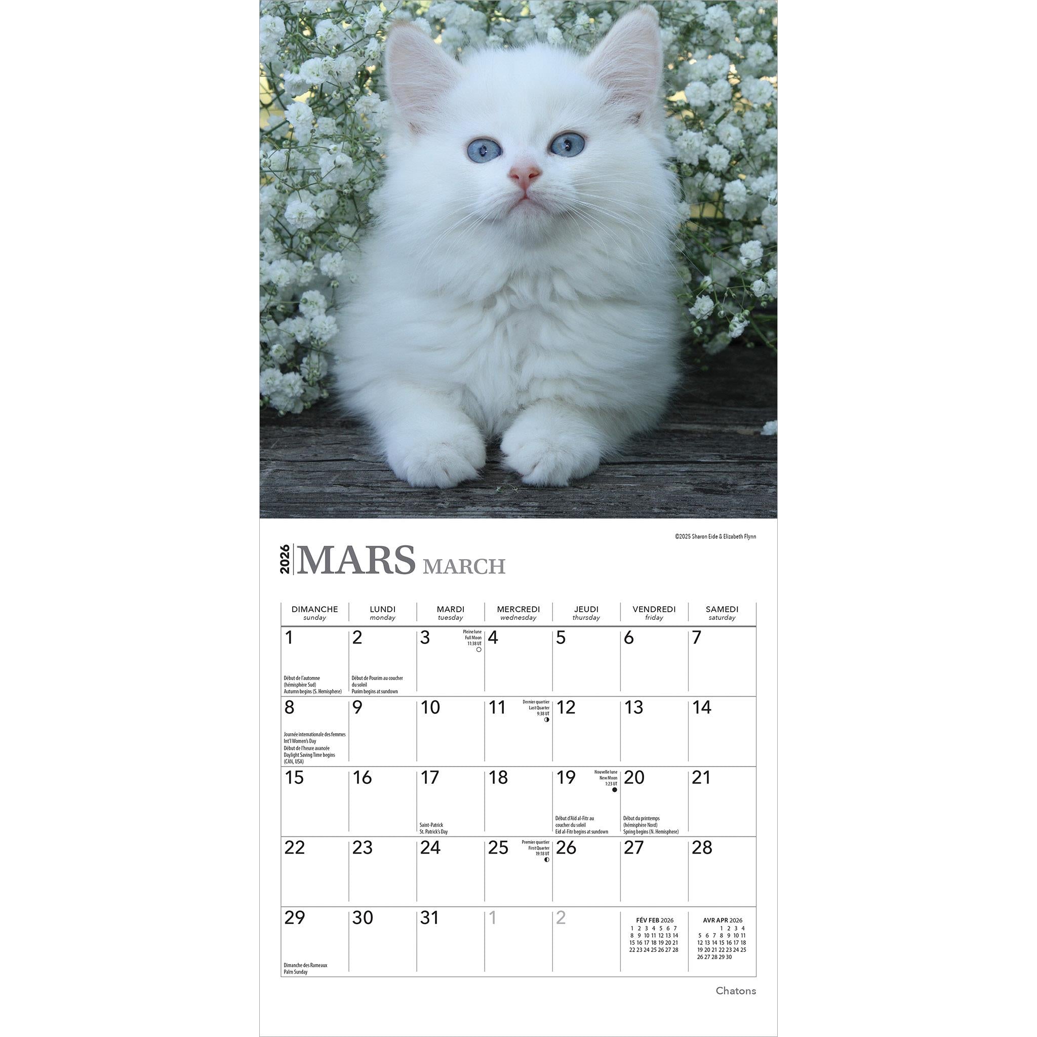 Chatons 2026 Mini Calendar (French)