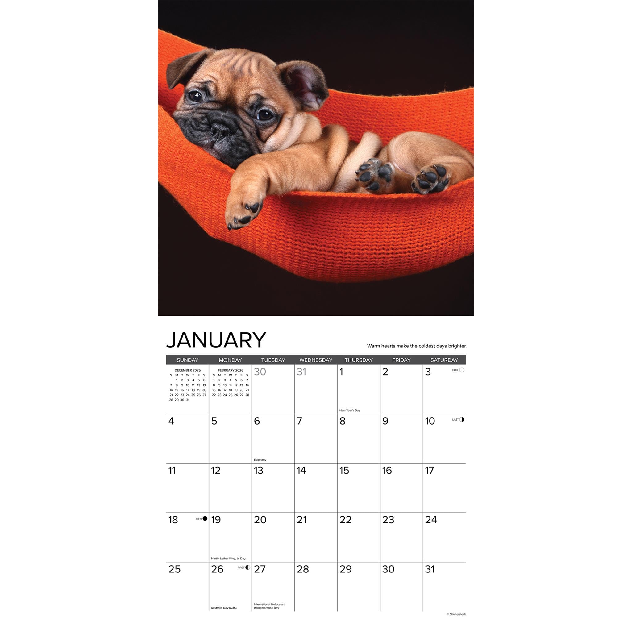 What Puppies Teach Us 2026 Wall Calendar