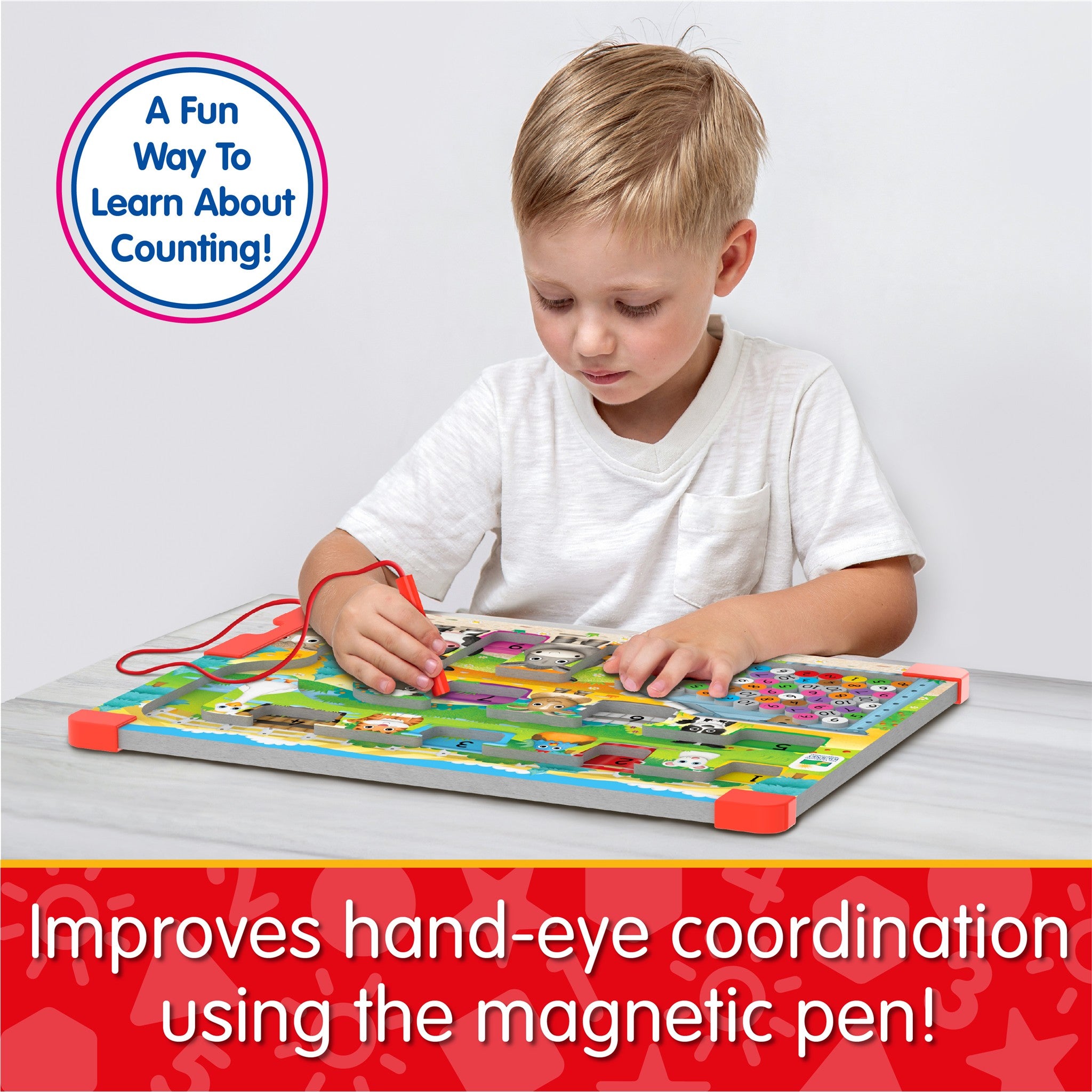 Counting Sort & Learn Magnetic Puzzle