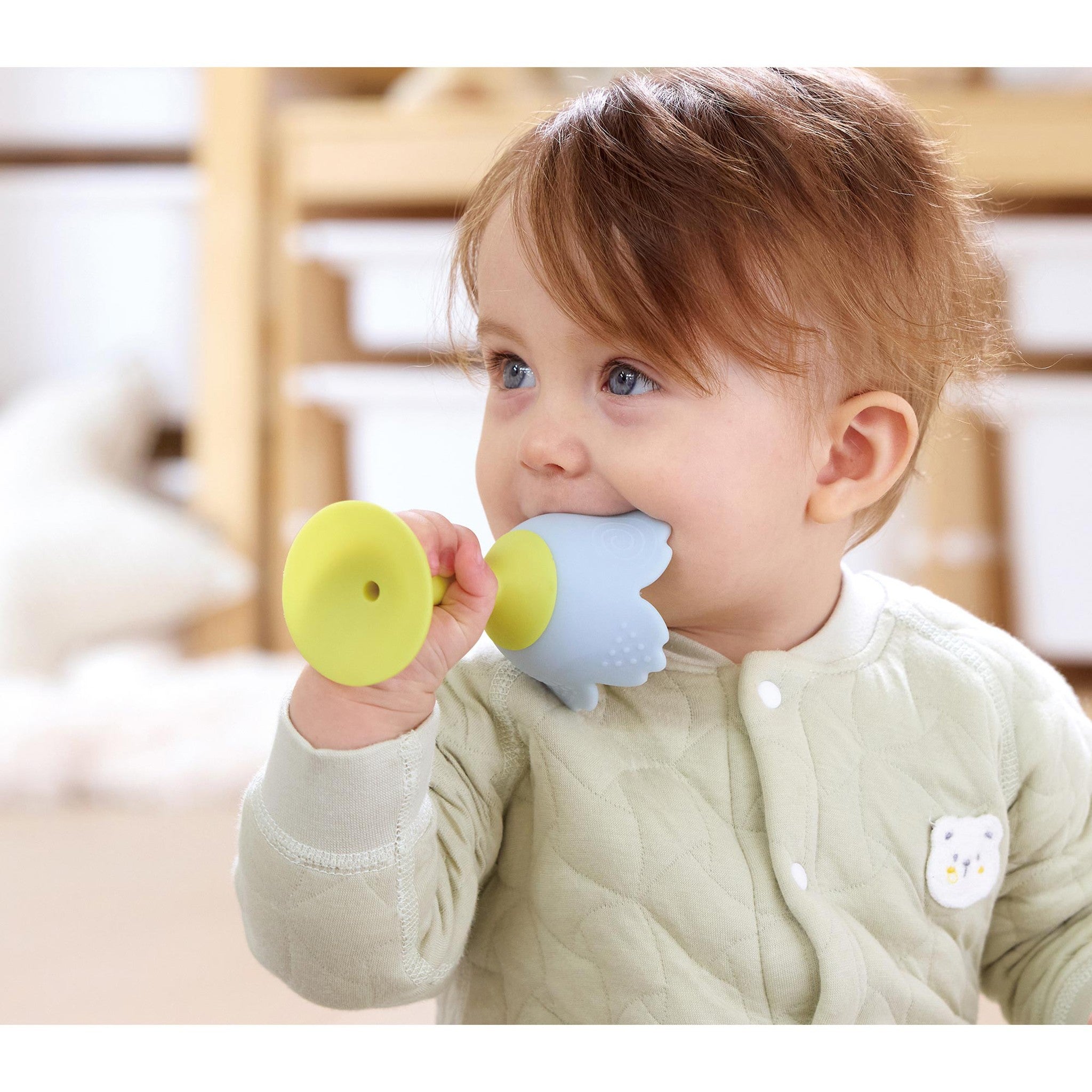 Rattle & Teether