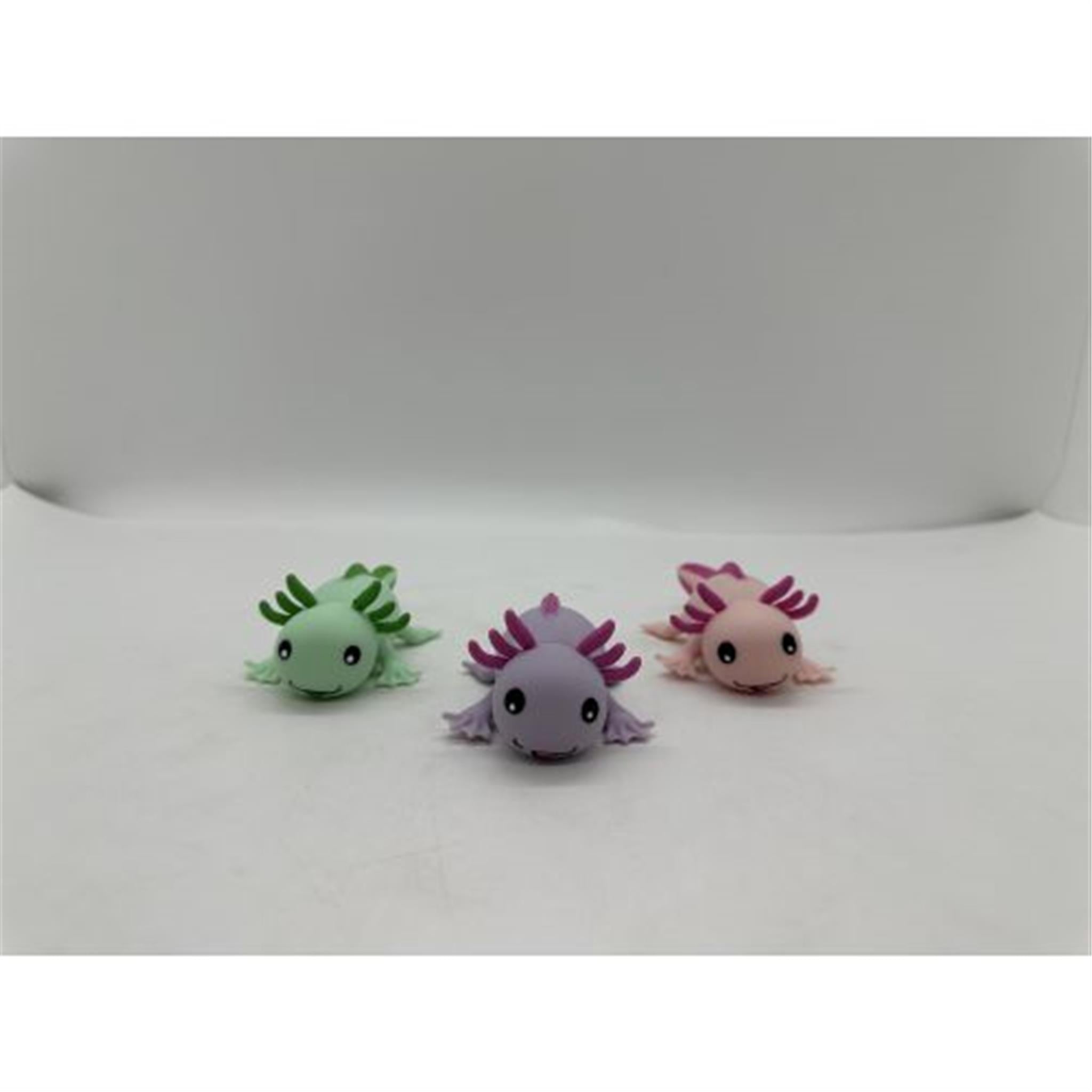 Stretchy Axolotl w/Display