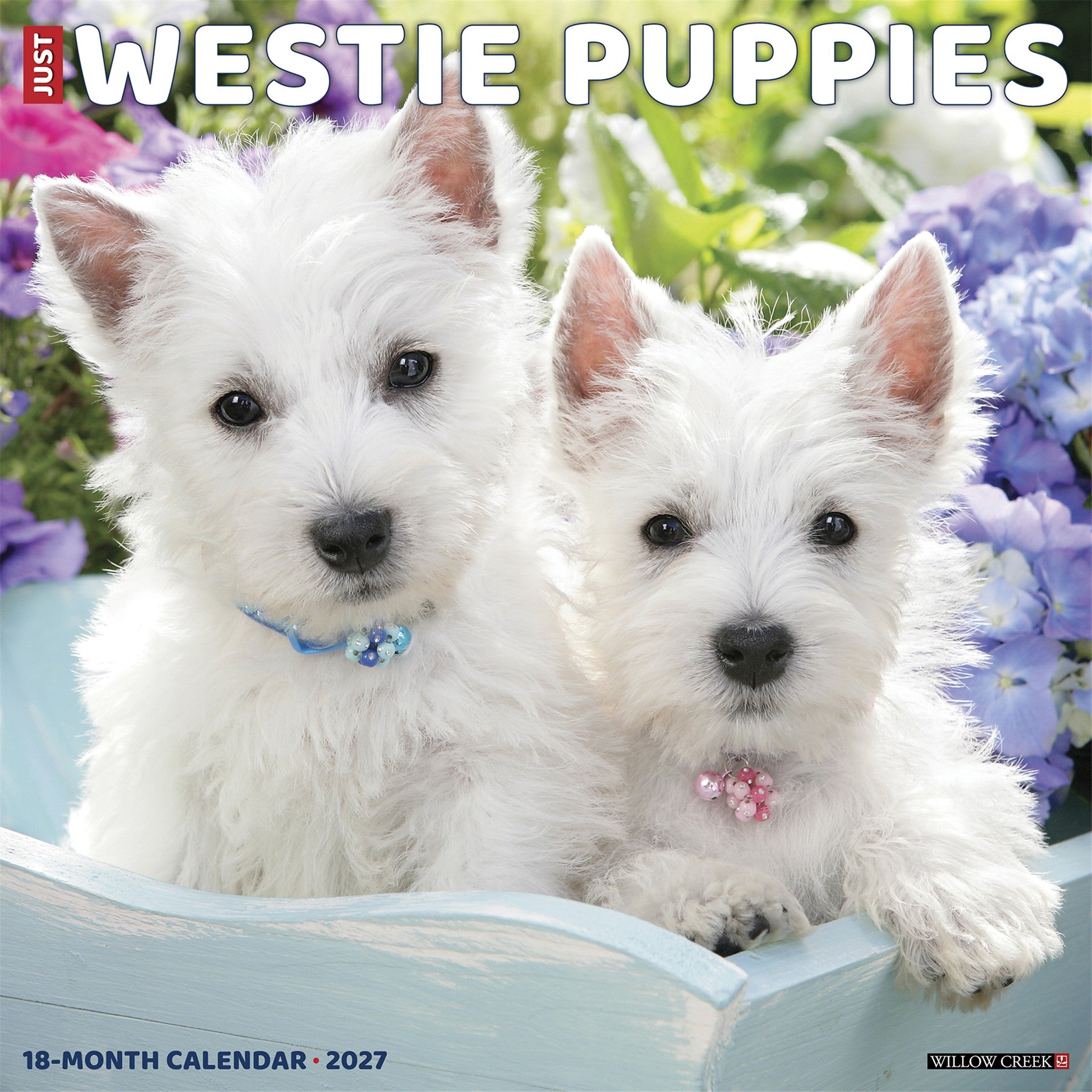Westie Puppies 2027 Wall Calendar - Online Only