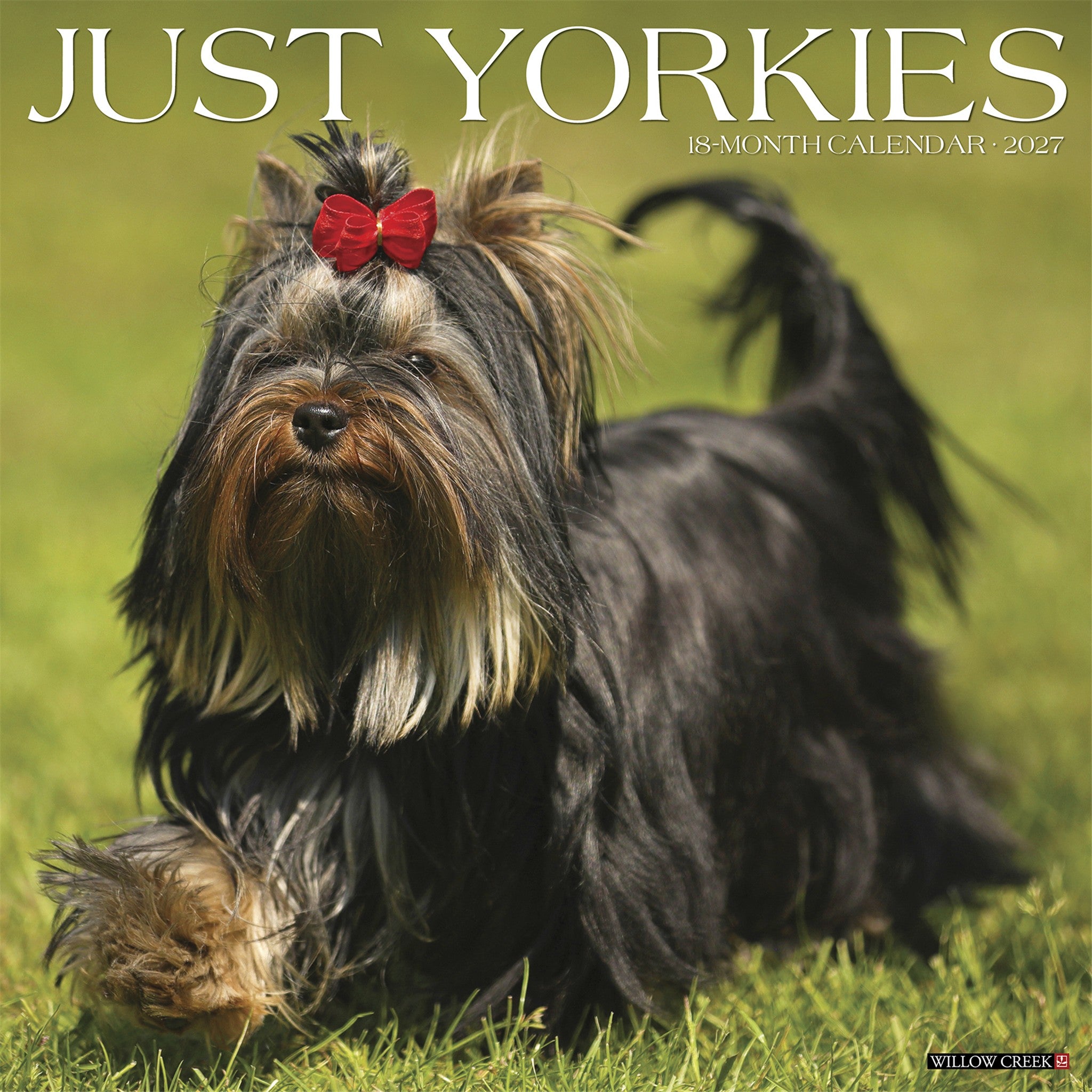 Yorkies 2027 Wall Calendar
