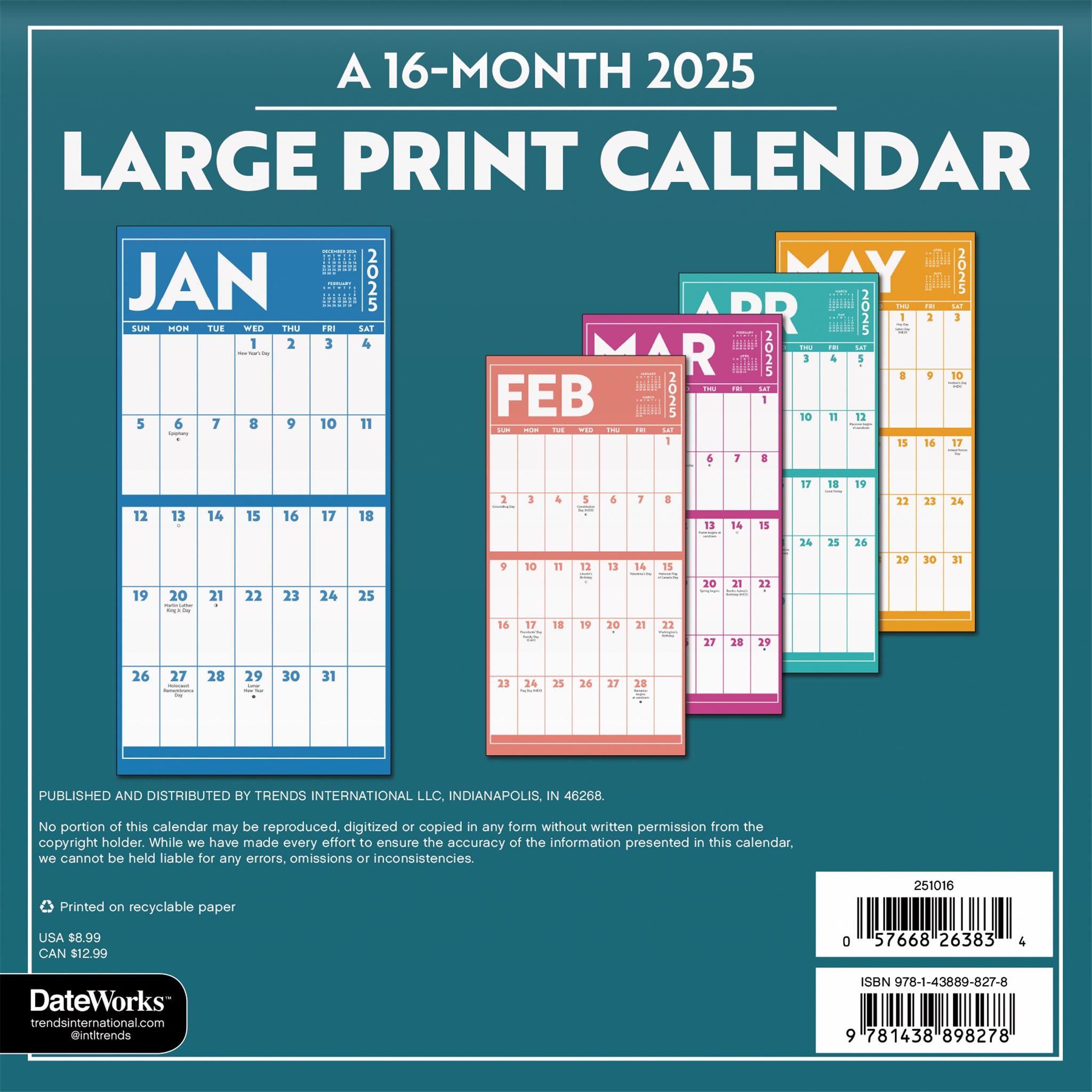 Large Print Mini 2025 Calendar