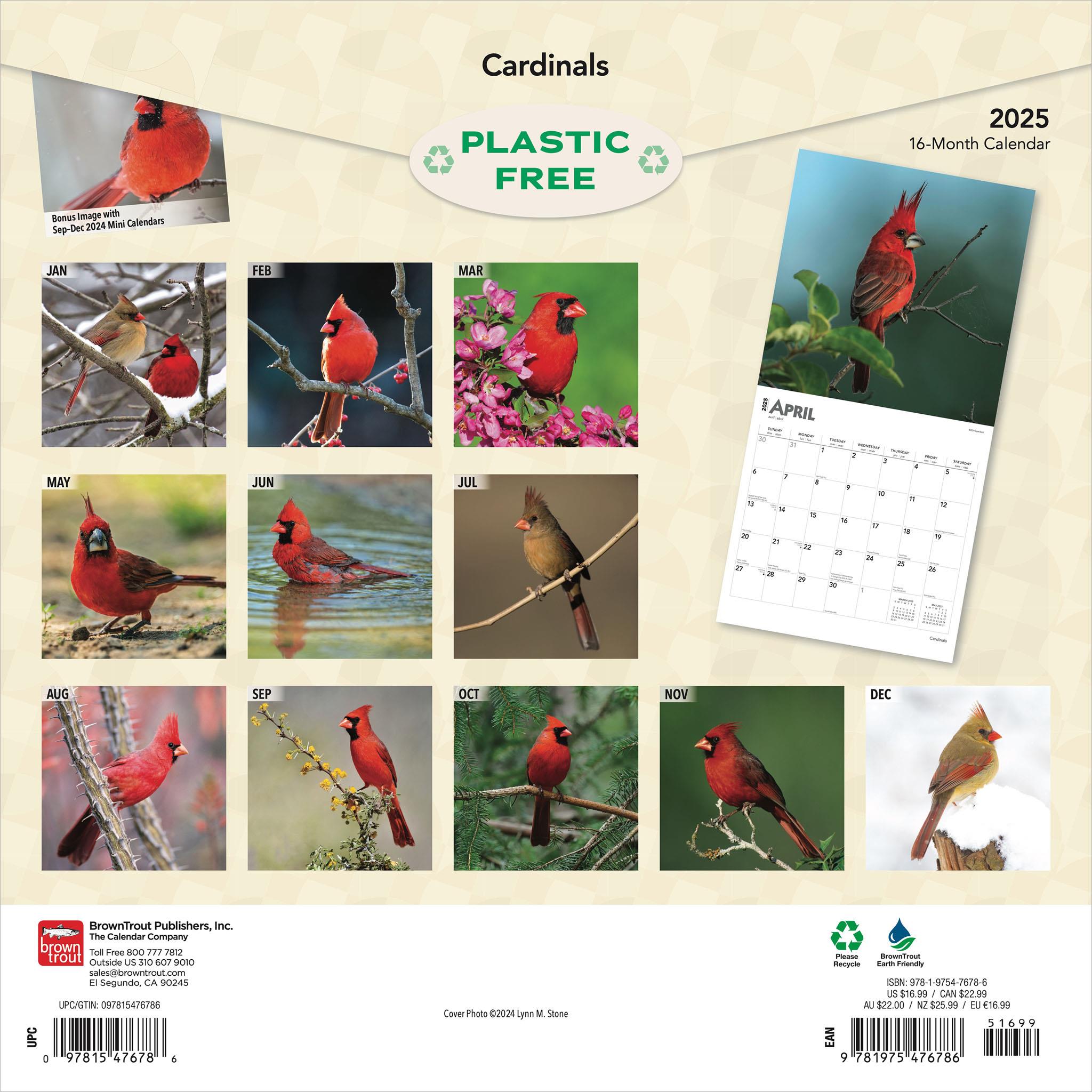 Cardinals Wall 2025 Calendar