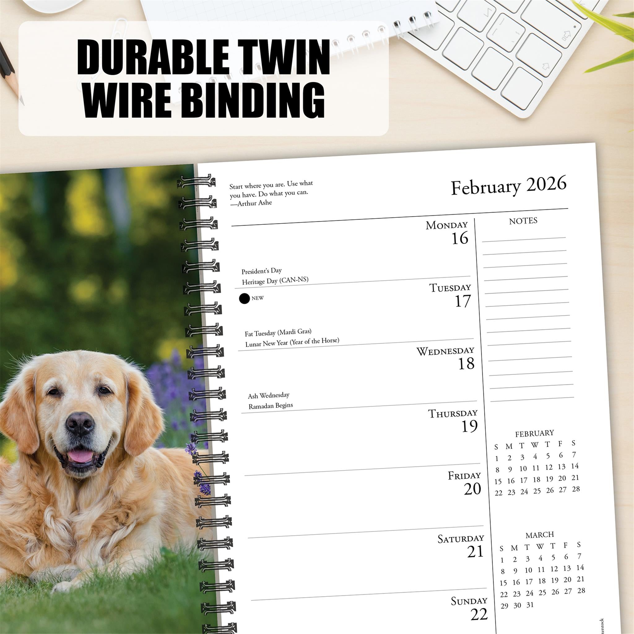 What Goldens Teach Us 2026 Engagement Calendar
