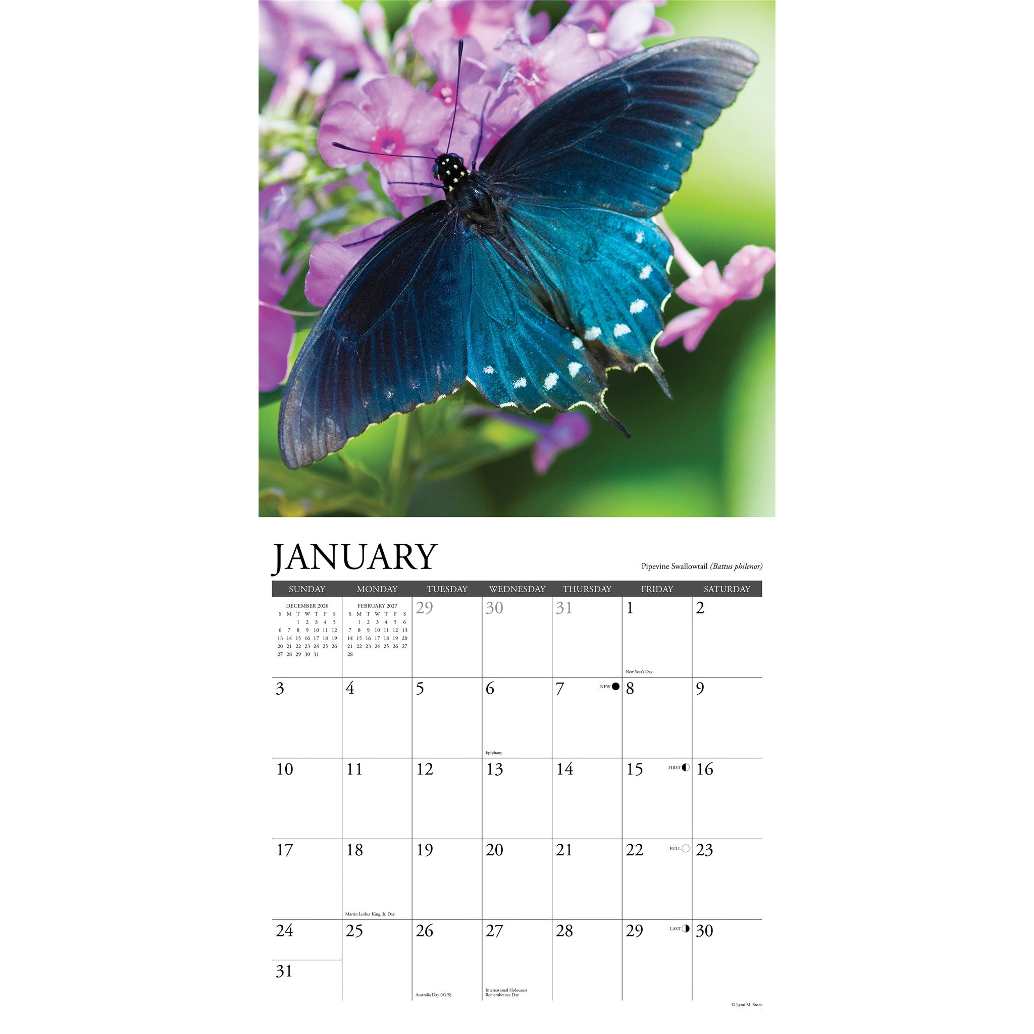 Butterflies of North America 2027 Wall Calendar