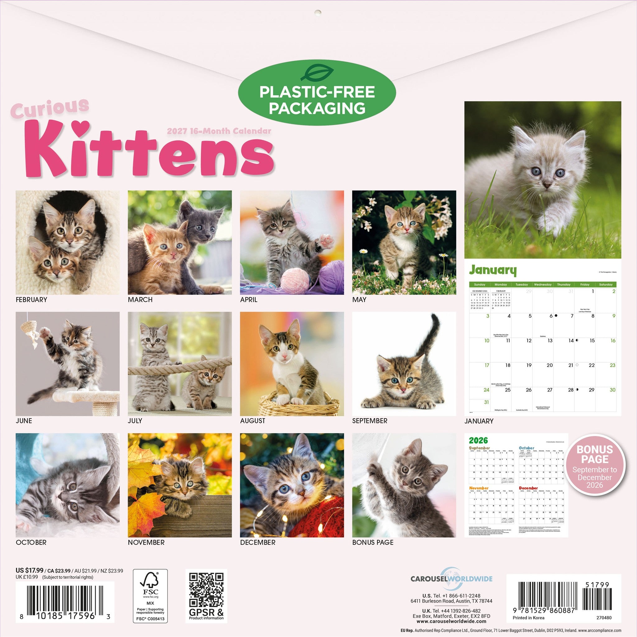 Curious Kittens 2027 Wall Calendar