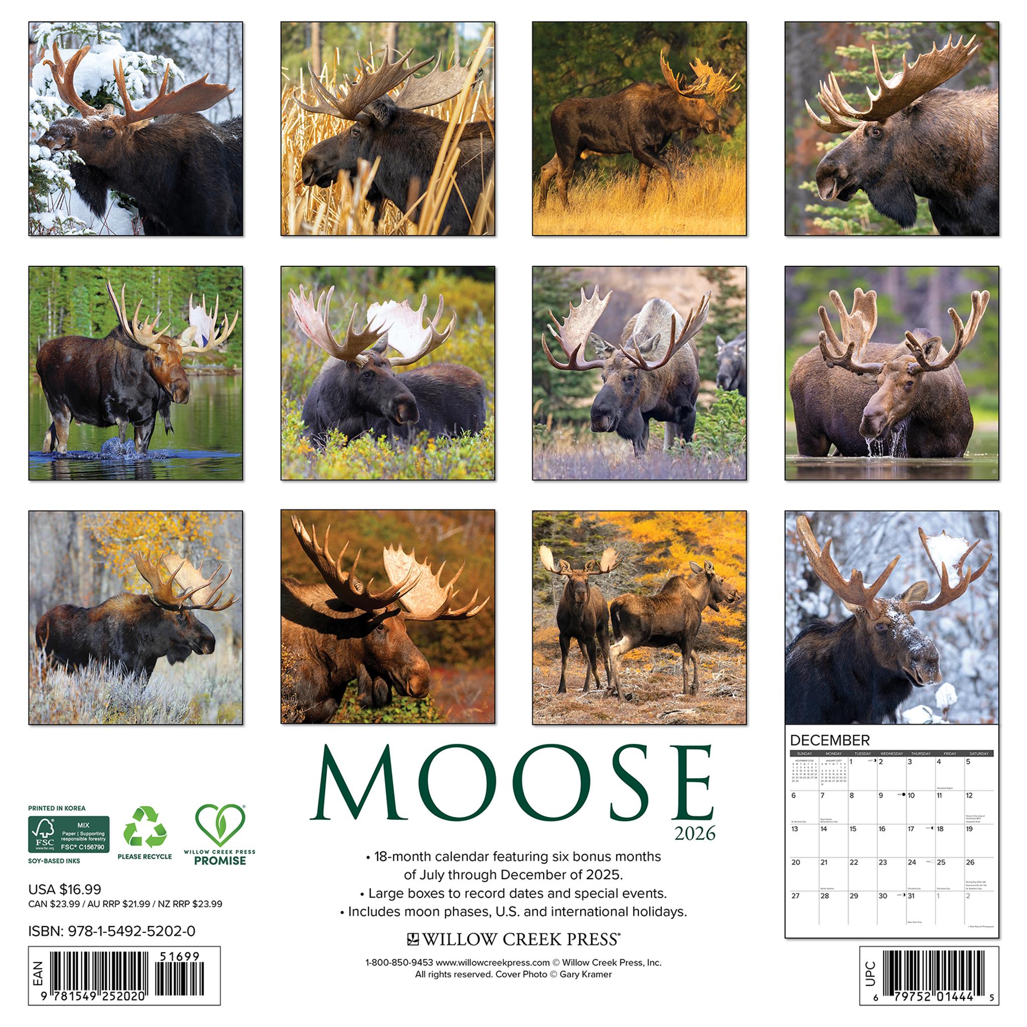 Moose 2026 Wall Calendar - Online Only