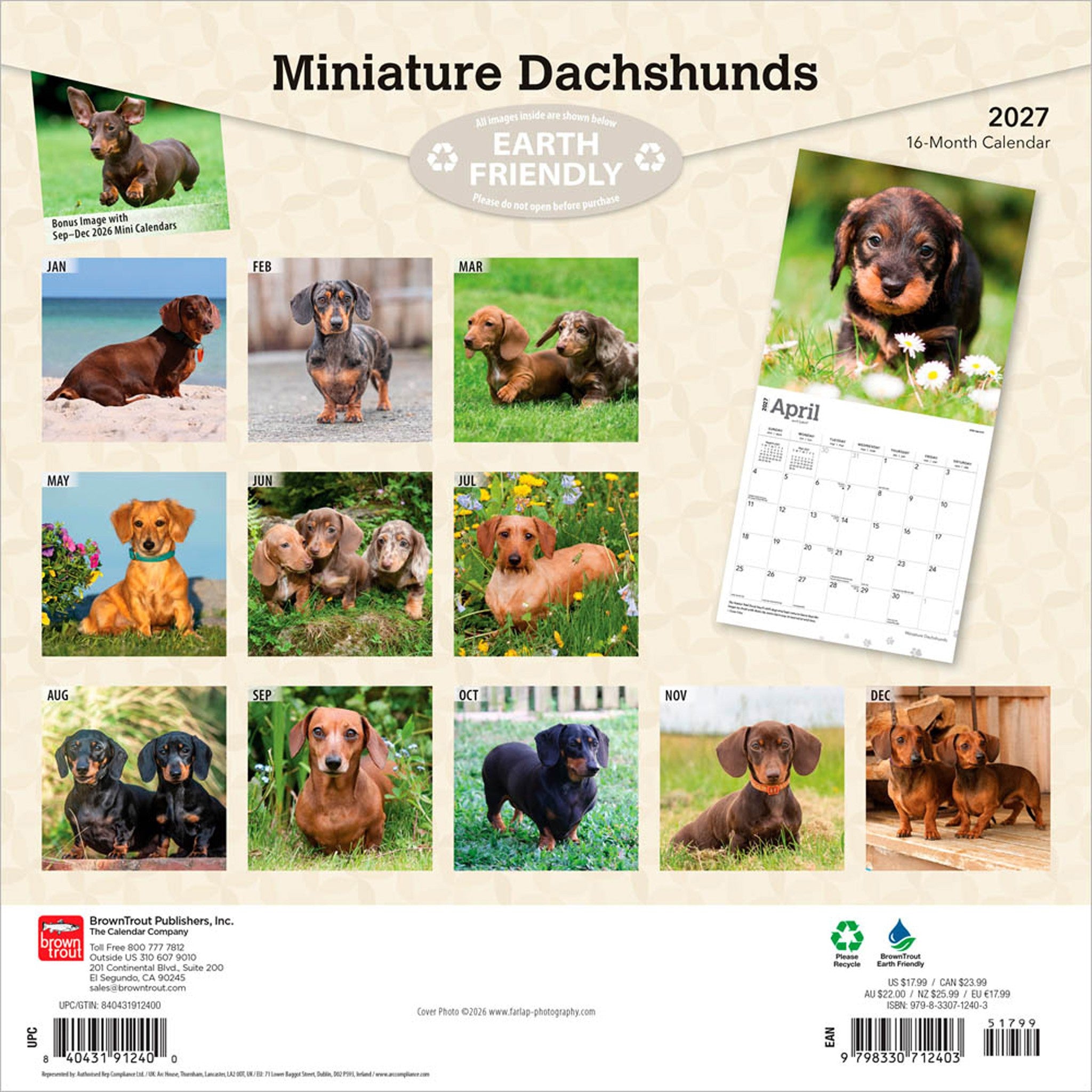 Miniature Dachshunds 2027 Wall Calendar