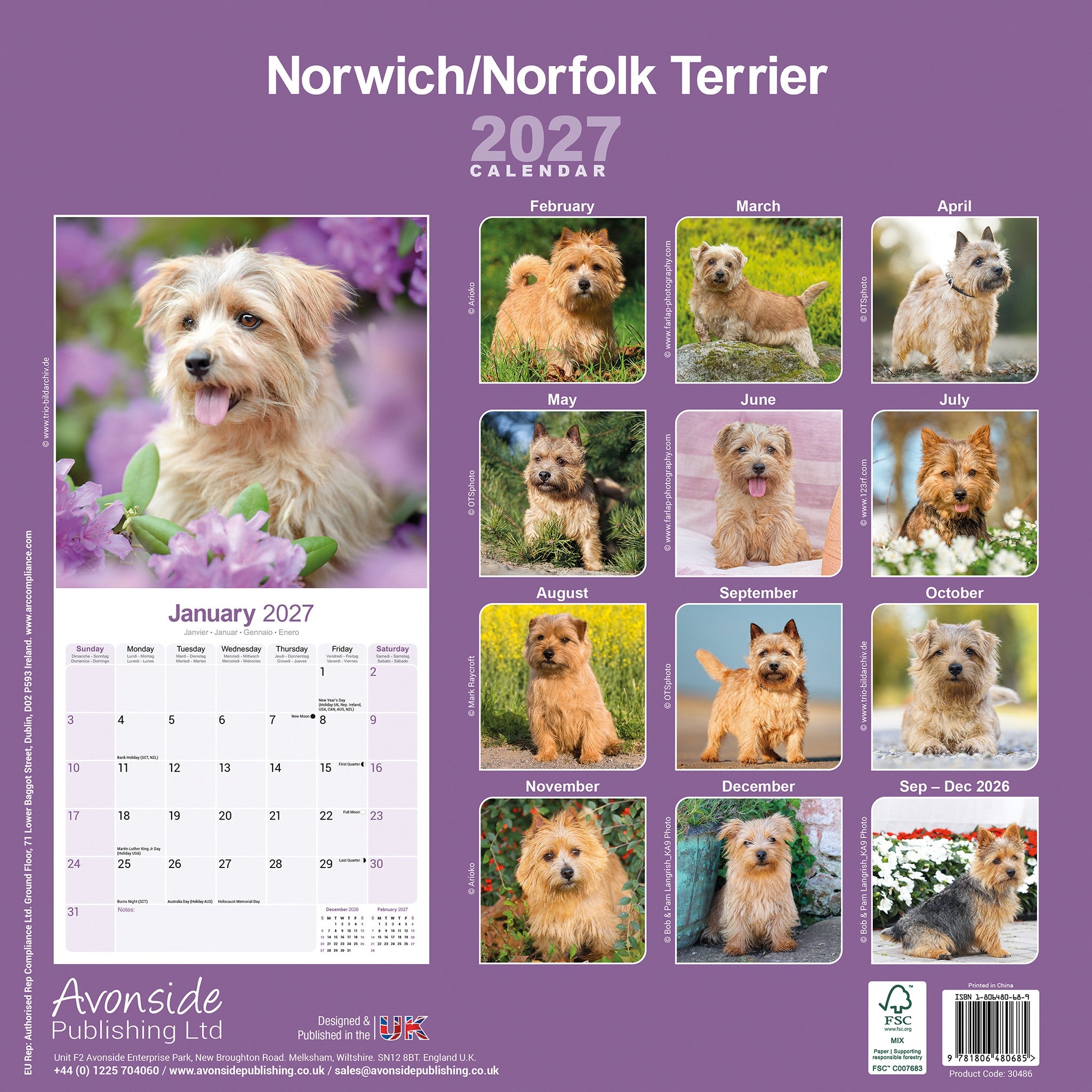Norwich/Norfolk Terrier 2027 Wall Calendar - Online Only
