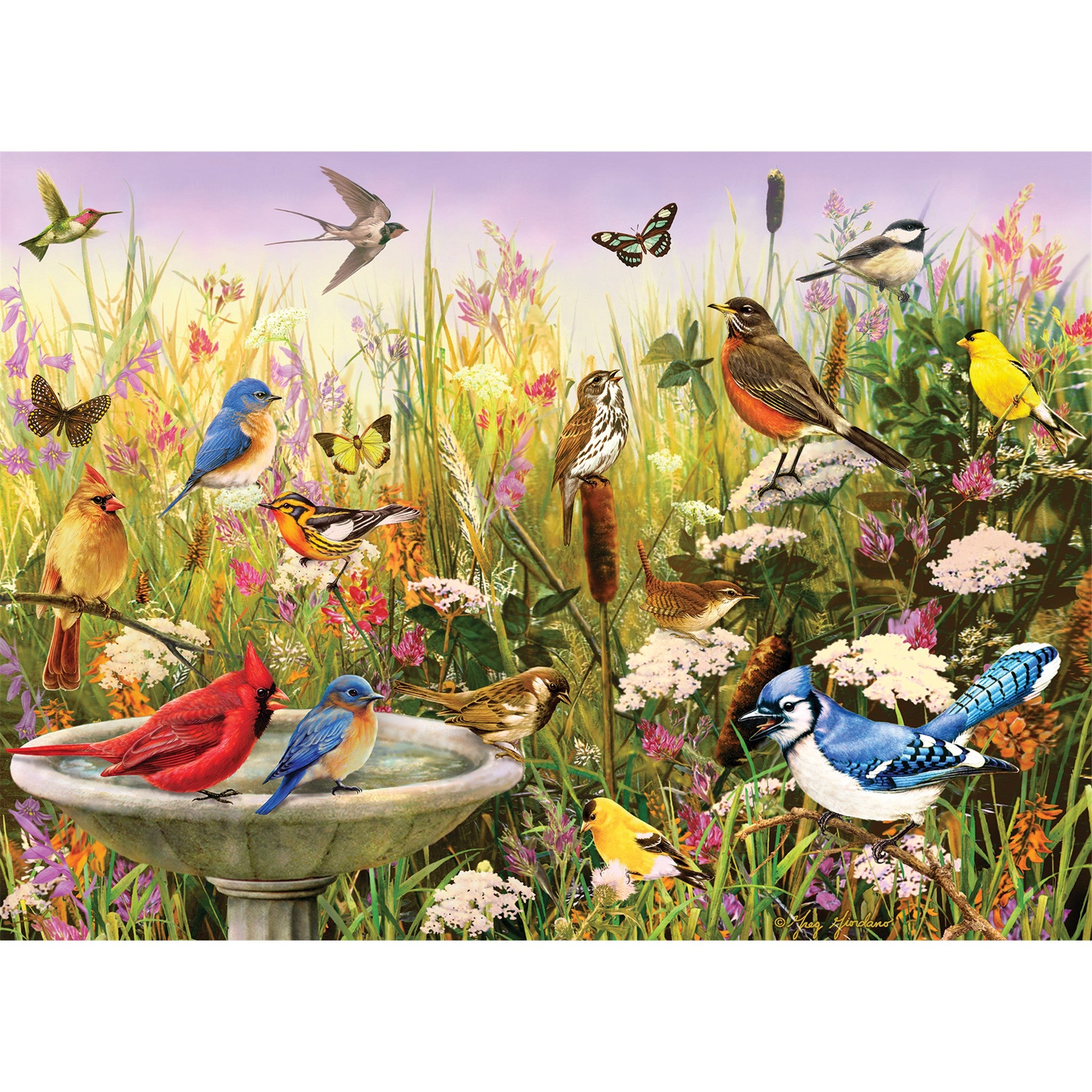 Feathered Friends 1000 Piece Puzzle