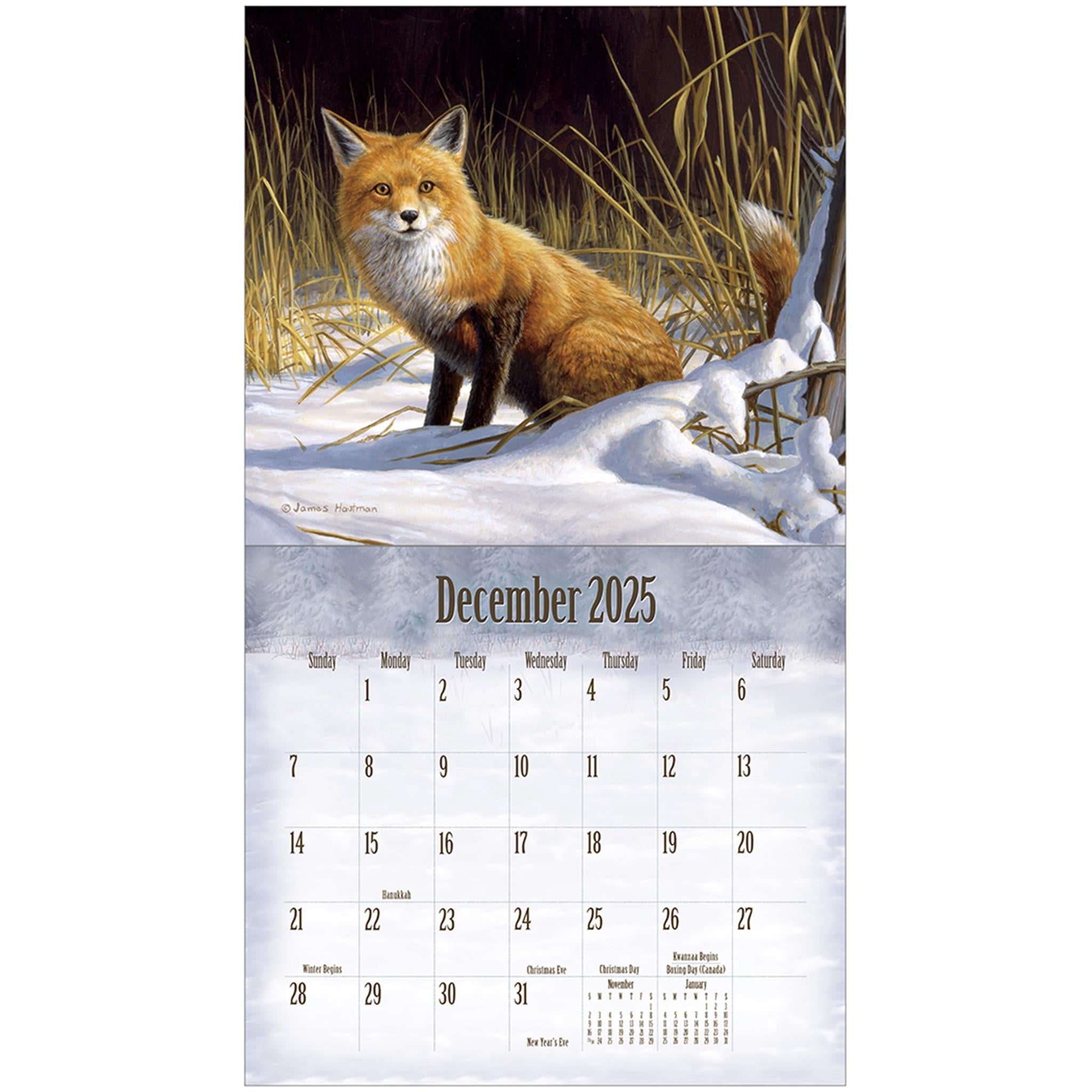 Wildlife Special Edition Wall 2025 Calendar