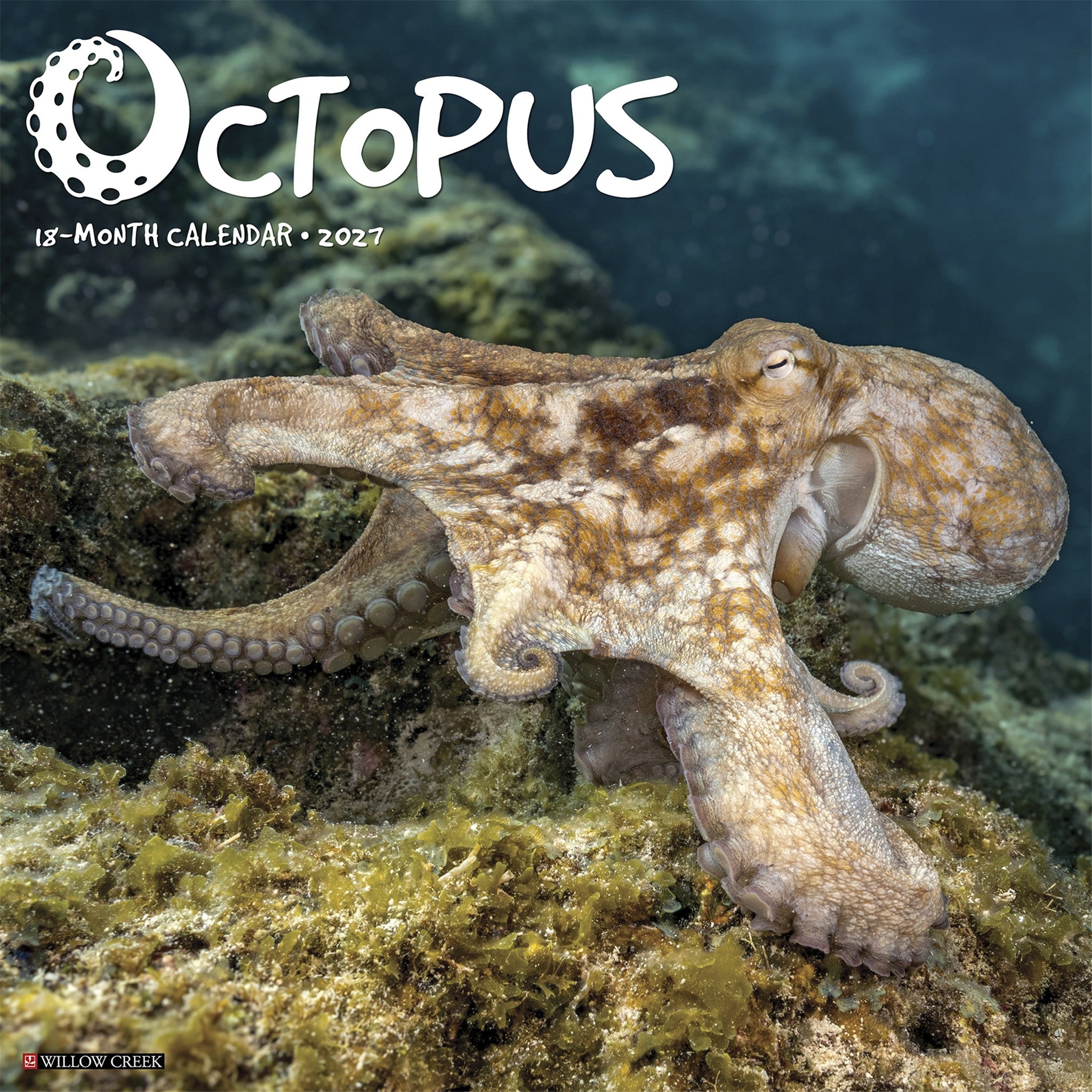 Octopus 2027 Wall Calendar