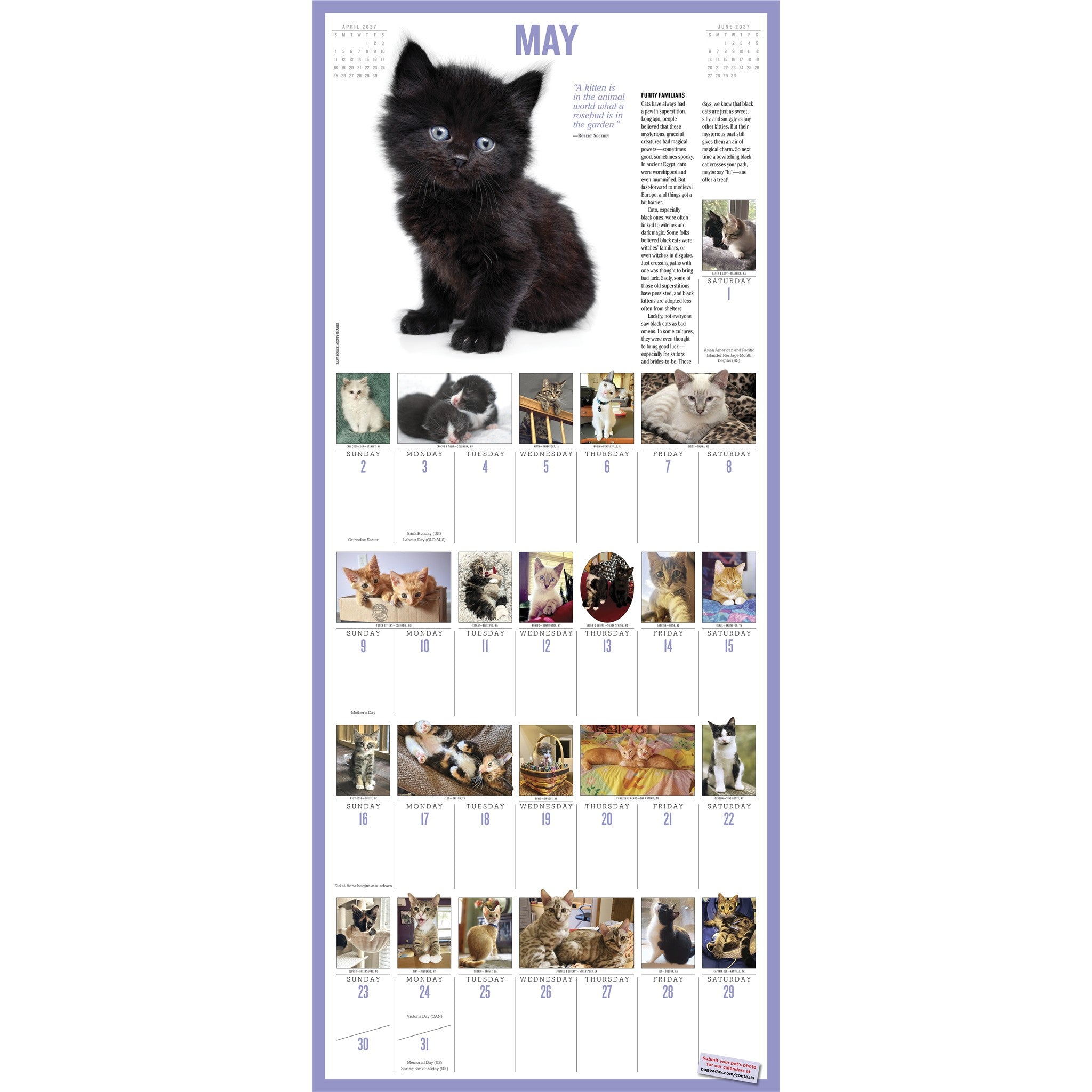 365 Kittens a Year 2027 Wall Calendar