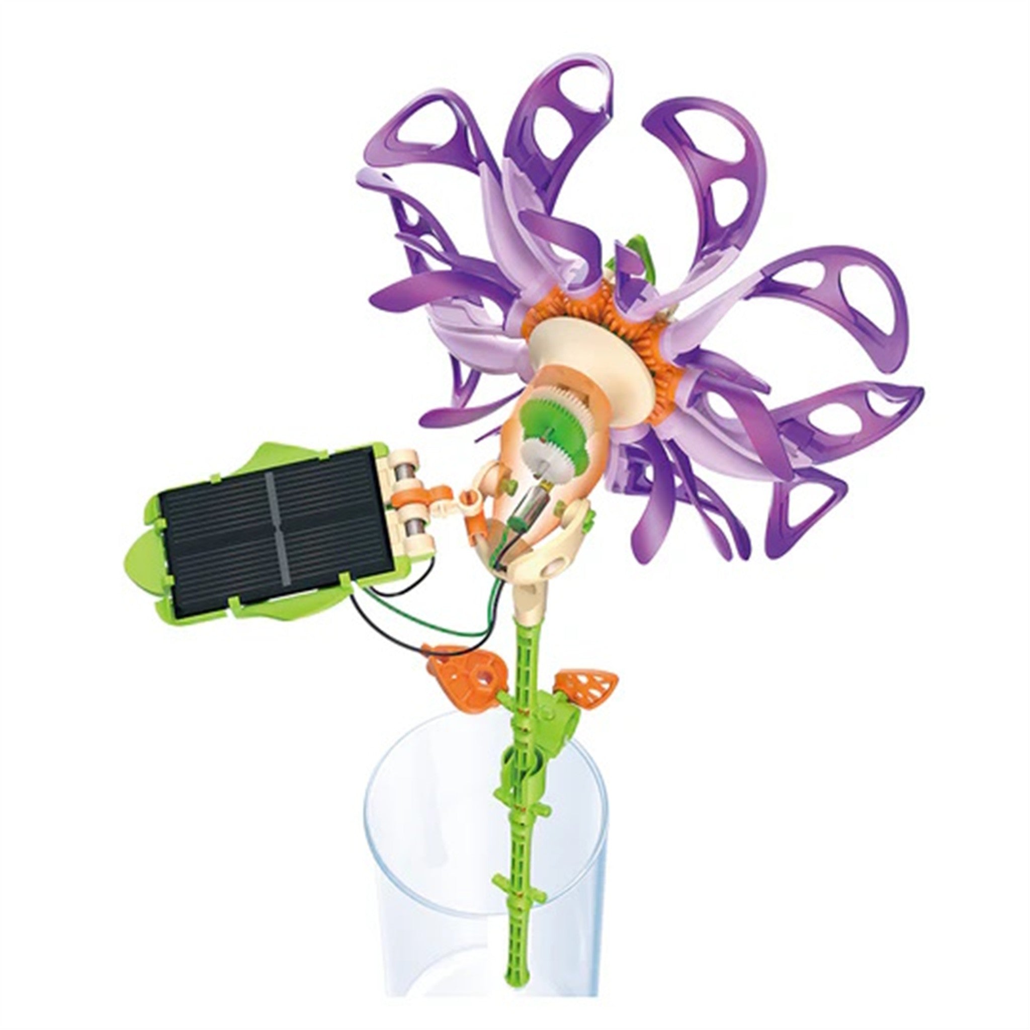 SolarFlower Purple Majestic
