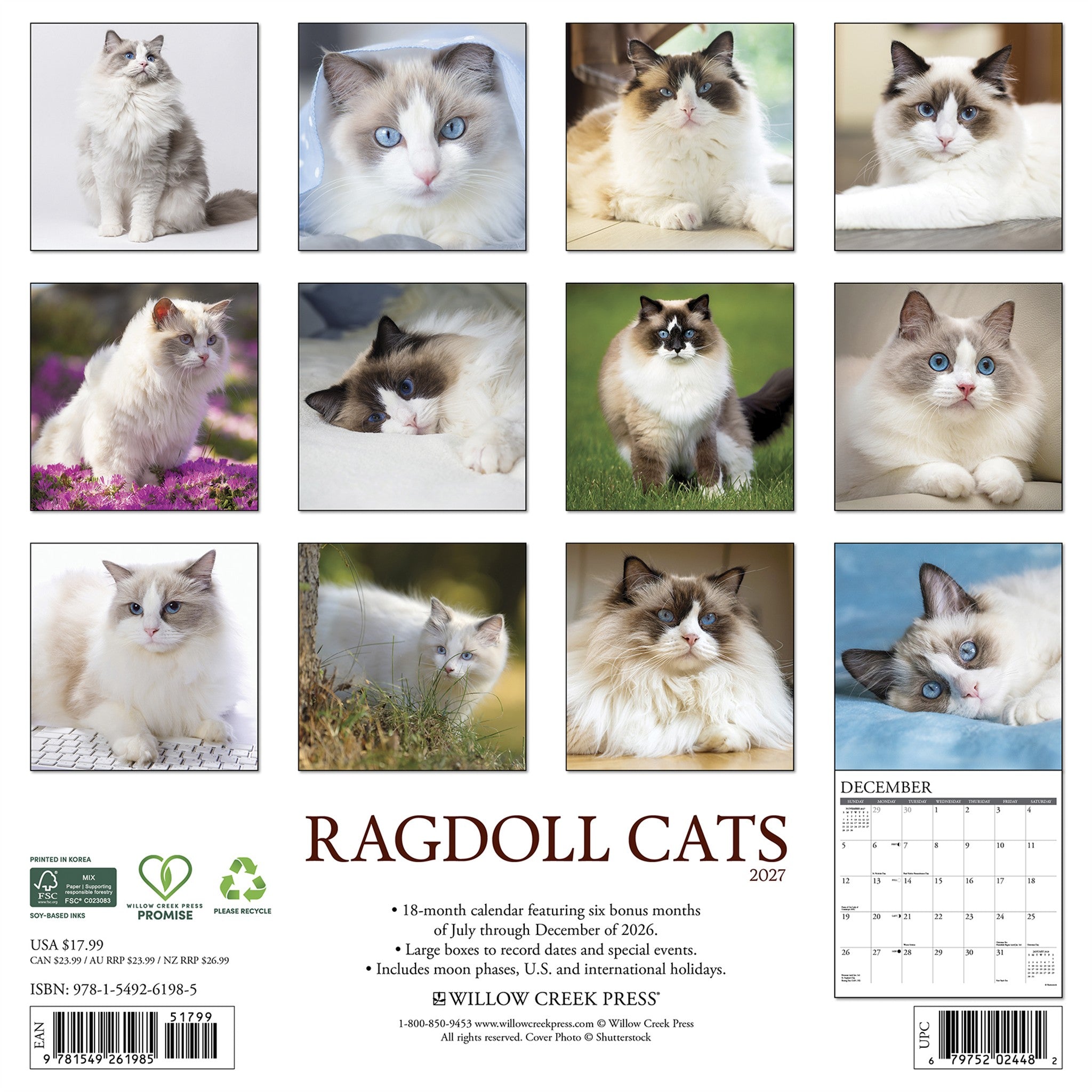 Ragdoll Cats 2027 Wall Calendar