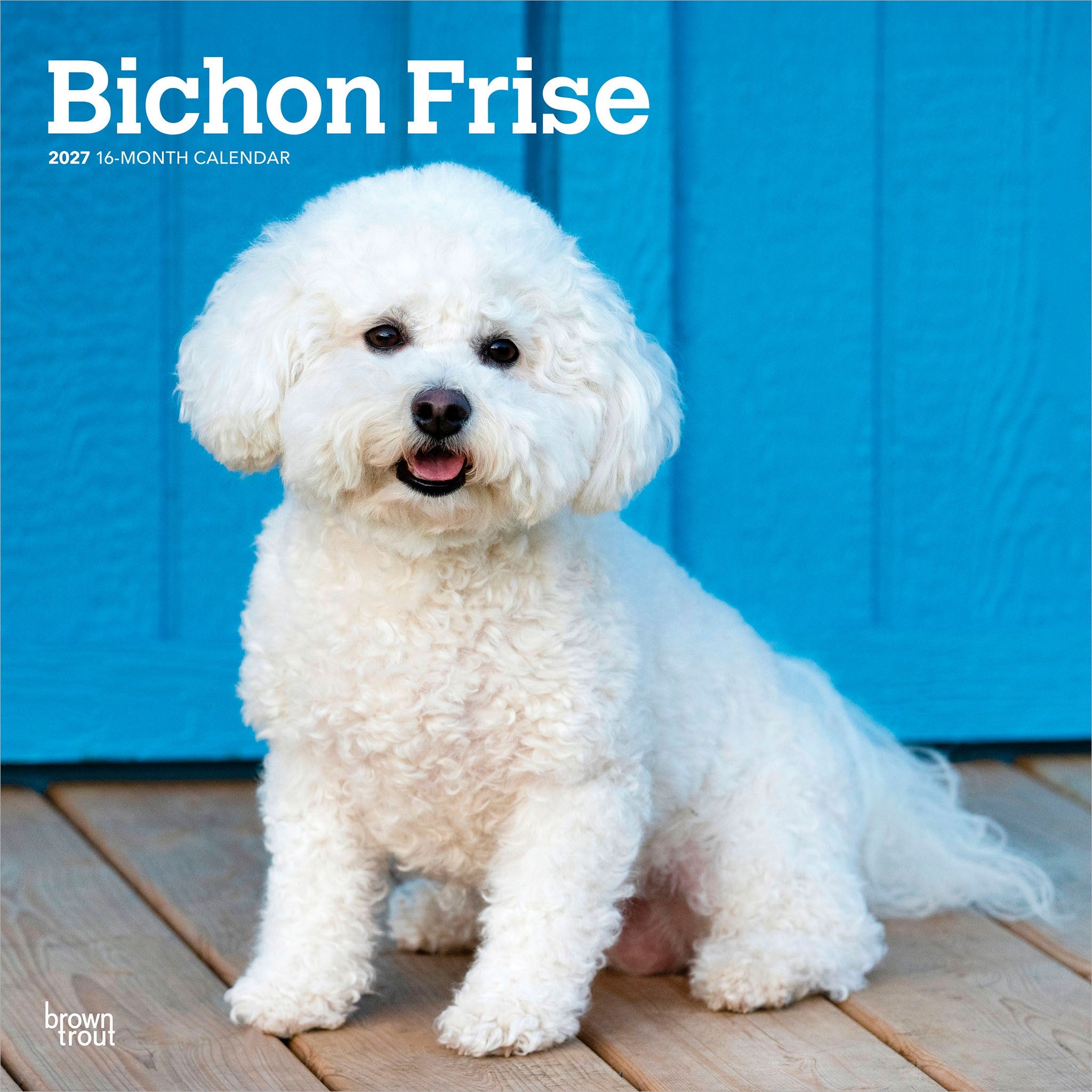 Bichon Frise 2027 Wall Calendar - Online Only