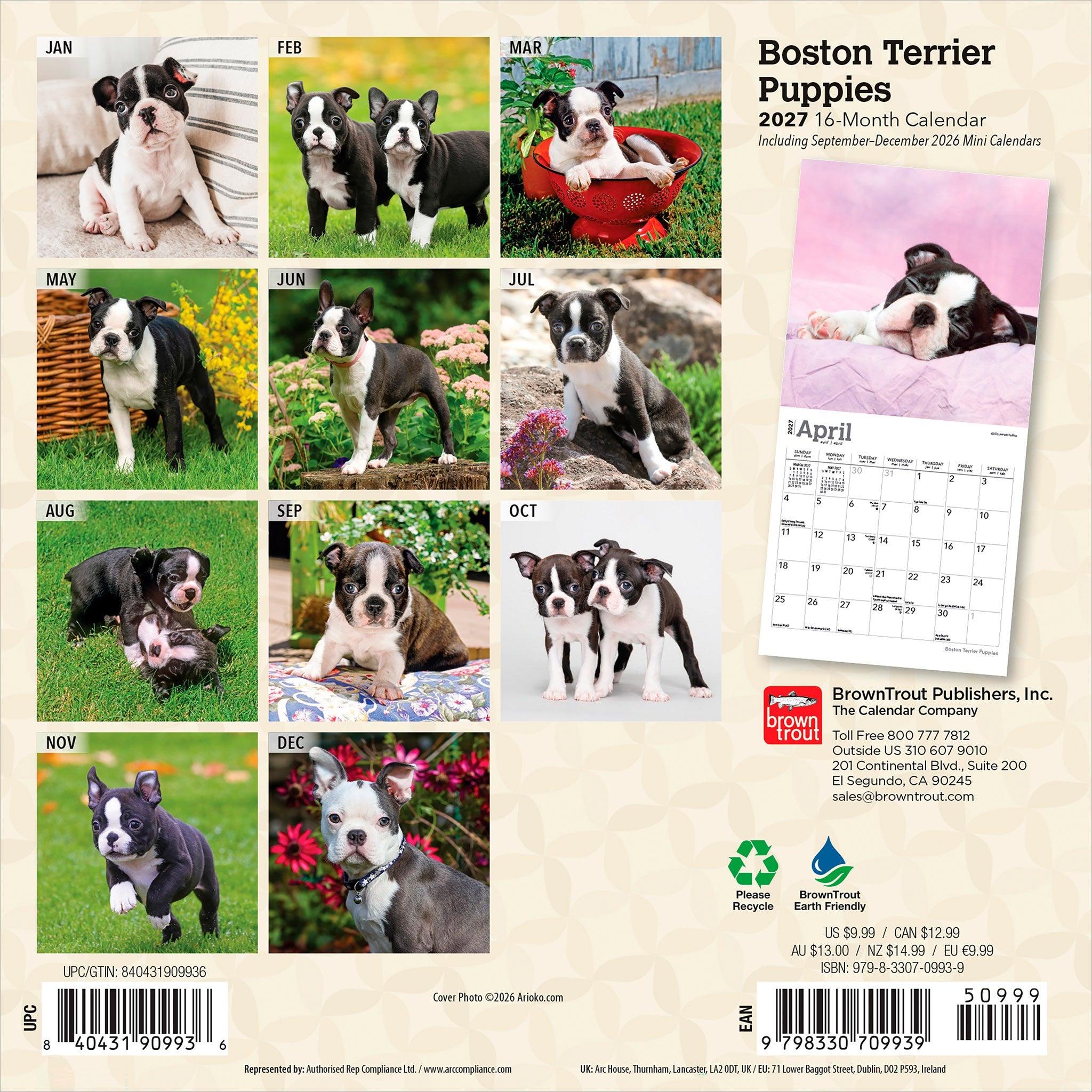 Boston Terrier Puppies 2027 Mini Calendar