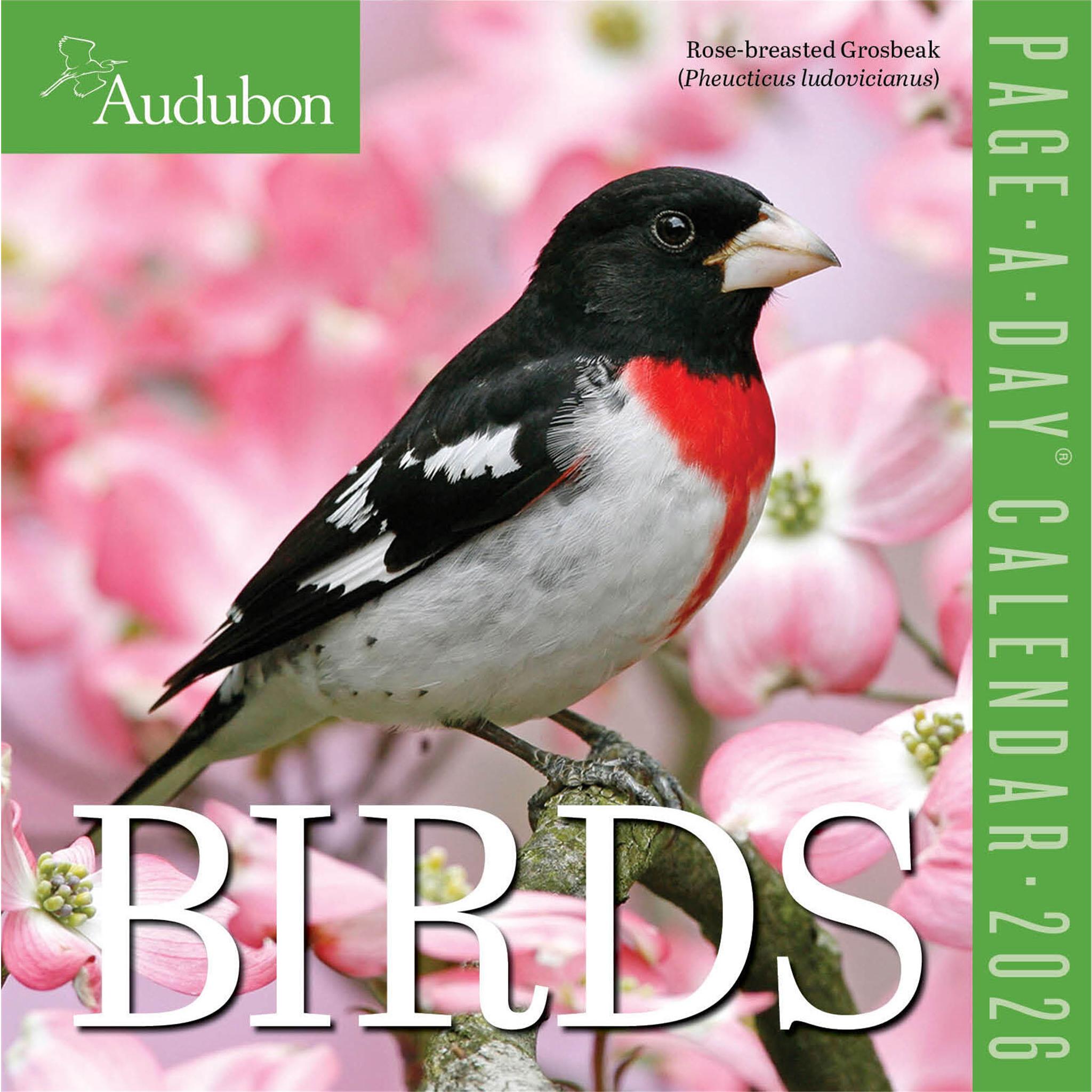 Audubon Birds 2026 Box Calendar front cover 