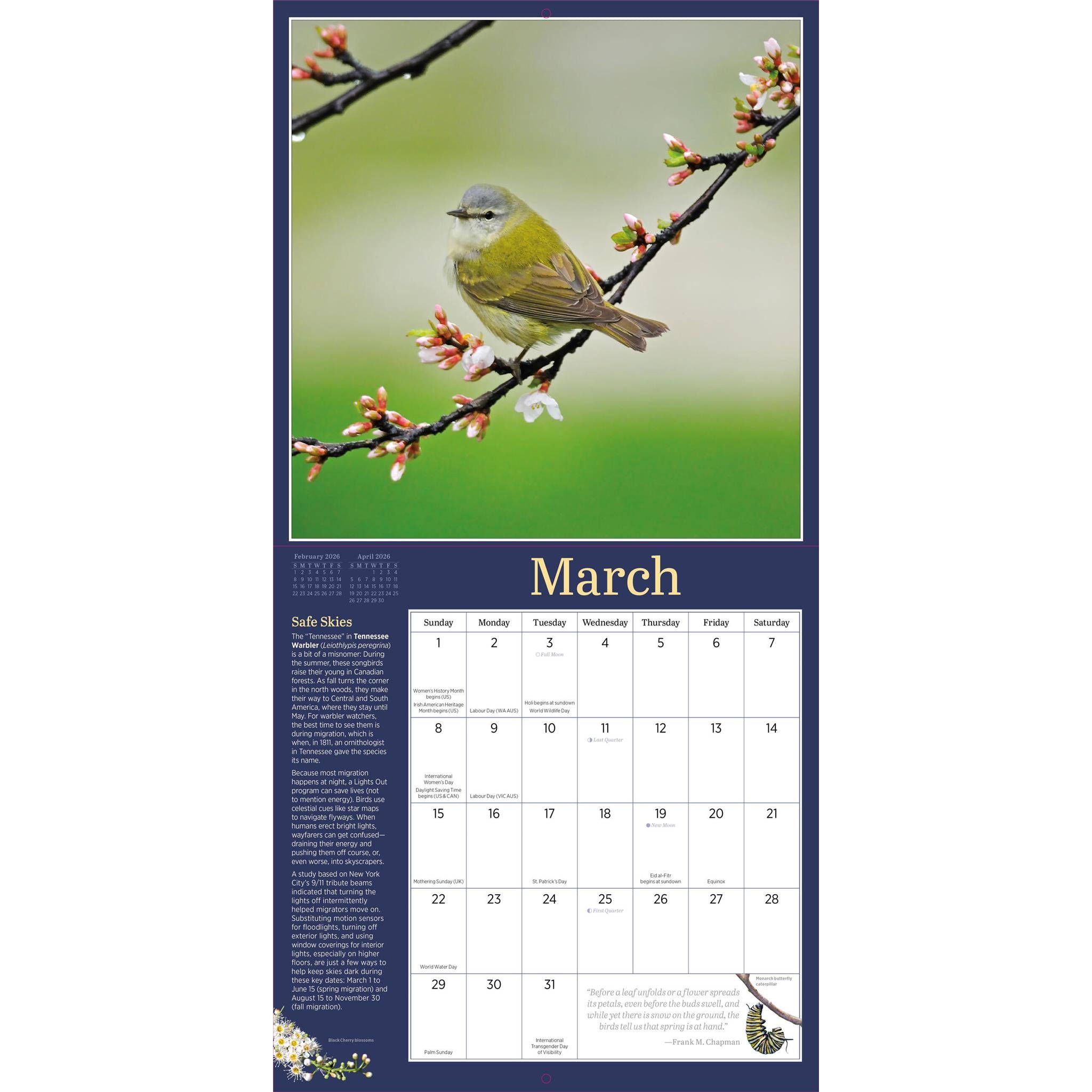 Audubon Birds In The Garden 2026 Wall Calendar