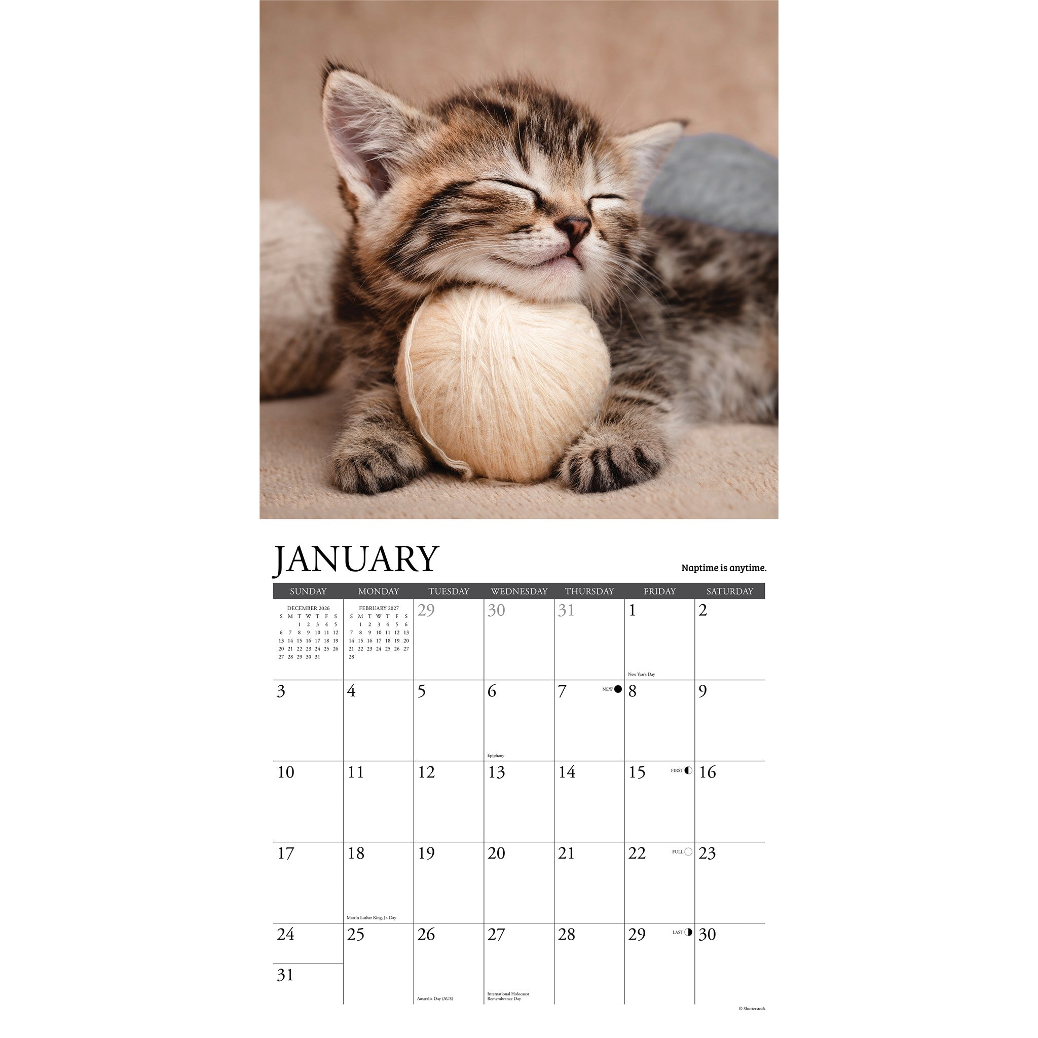 What Kittens Teach Us 2027 Wall Calendar