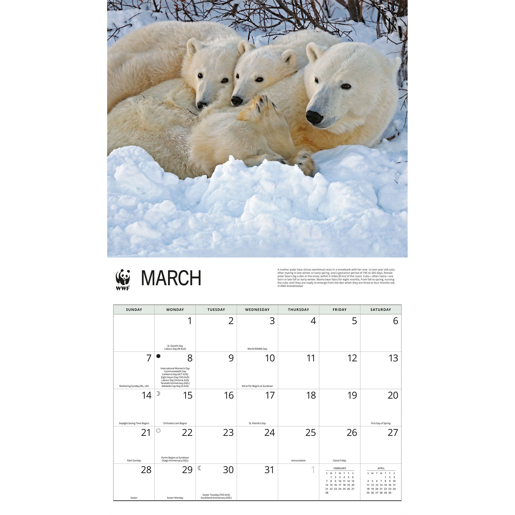World Wildlife Fund Polar Bears 2027 Wall Calendar