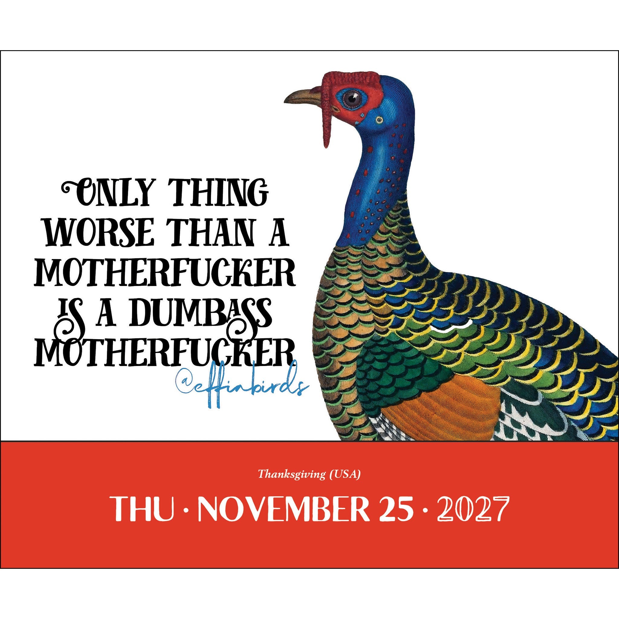 Effin' Birds 2027 Box Calendar