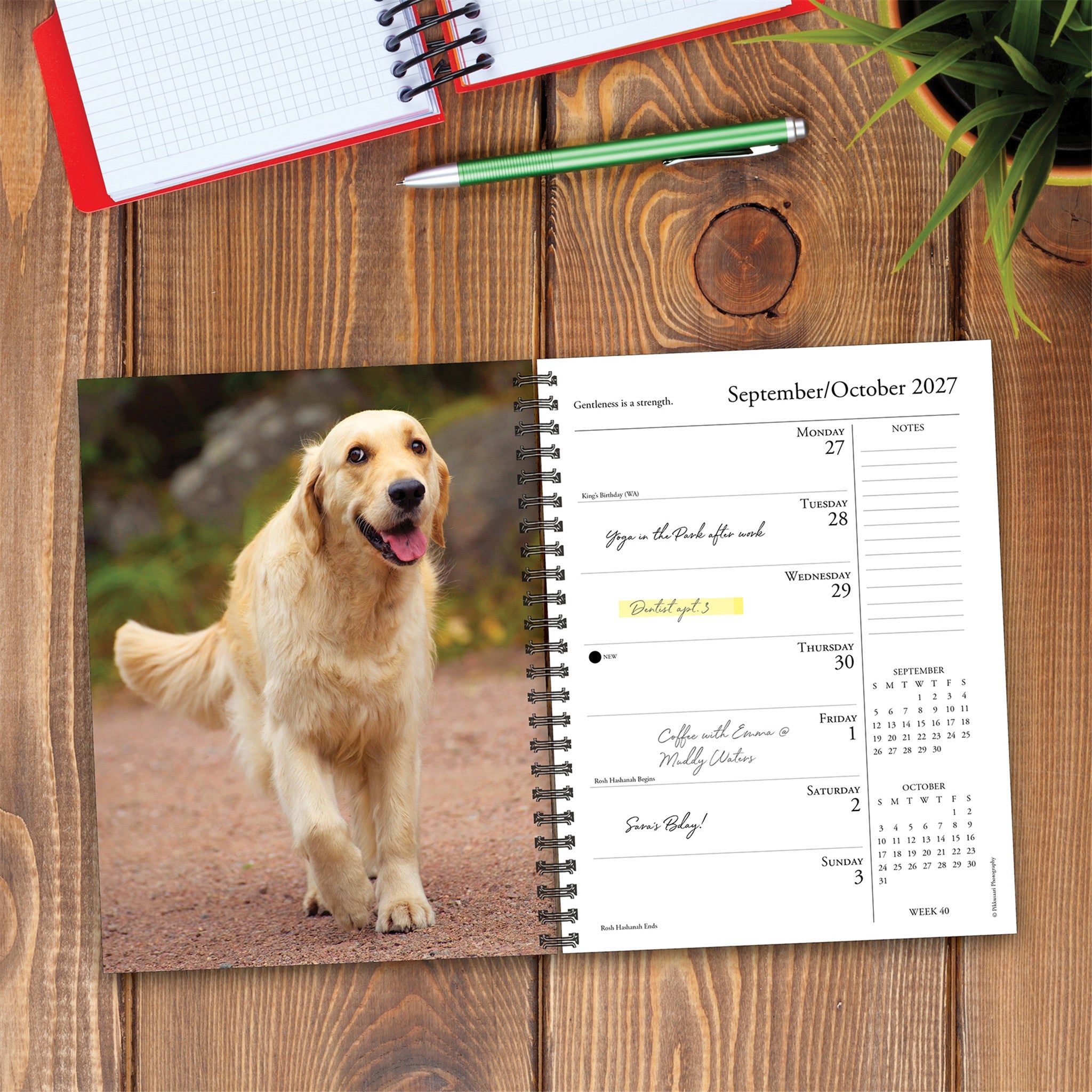 What Goldens Teach Us 2027 Engagement Calendar