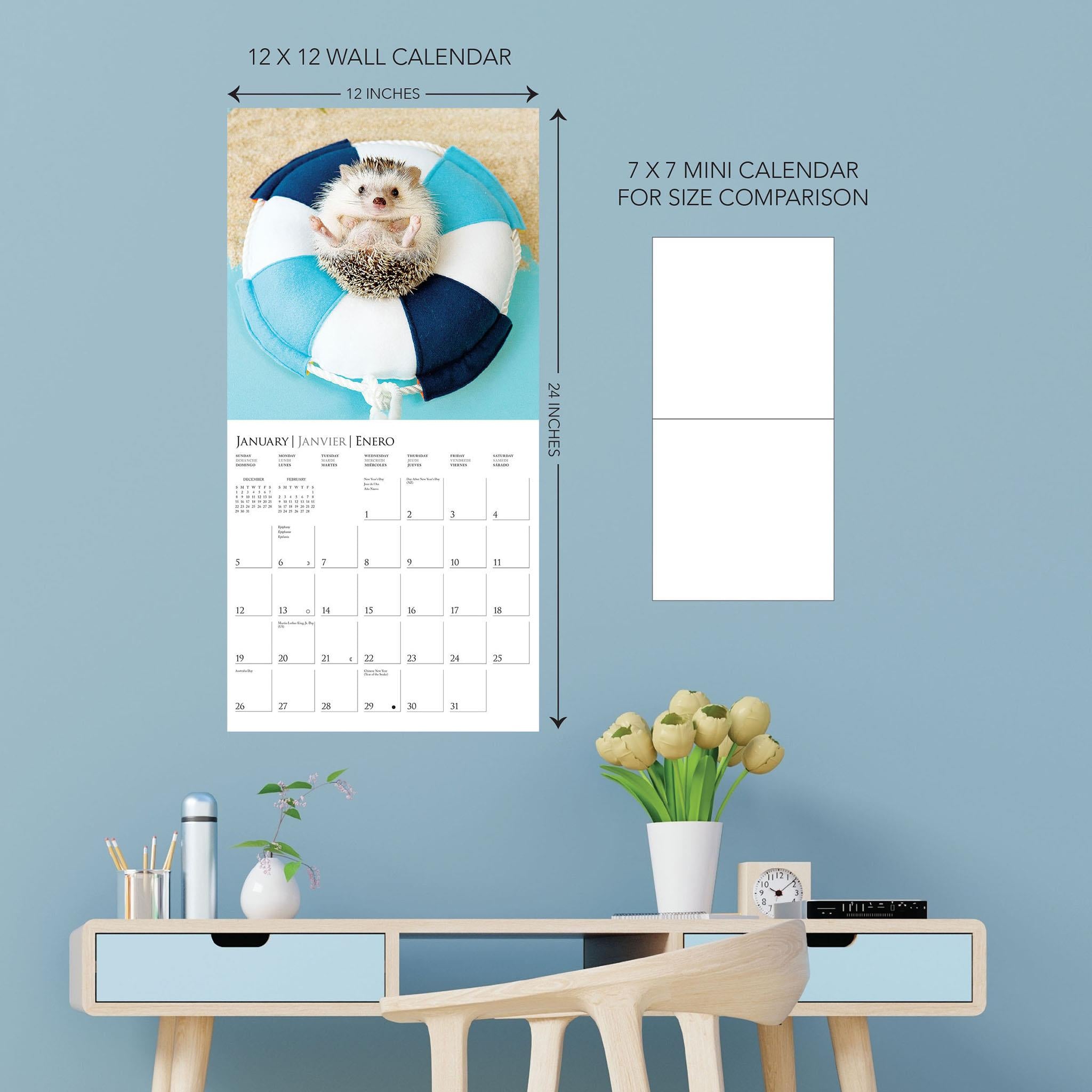 Happiest Hedgehogs Wall 2025 Calendar