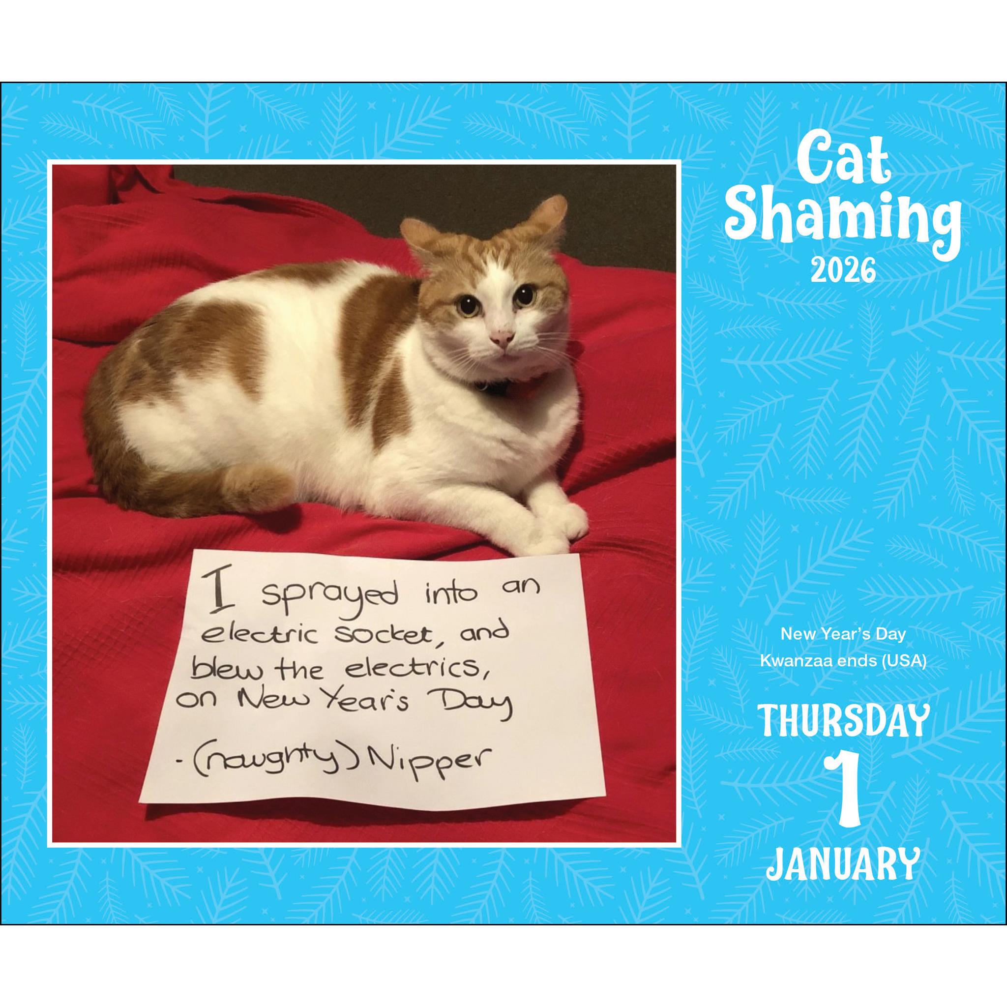Cat Shaming 2026 Box Calendar