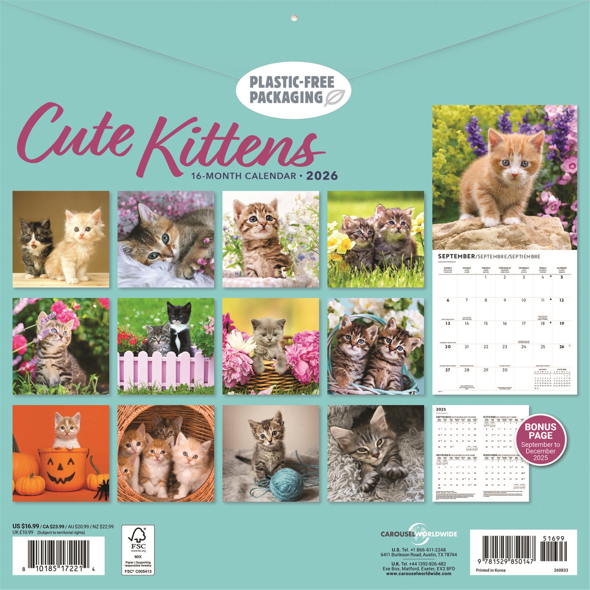 Cute Kittens 2026 Wall Calendar