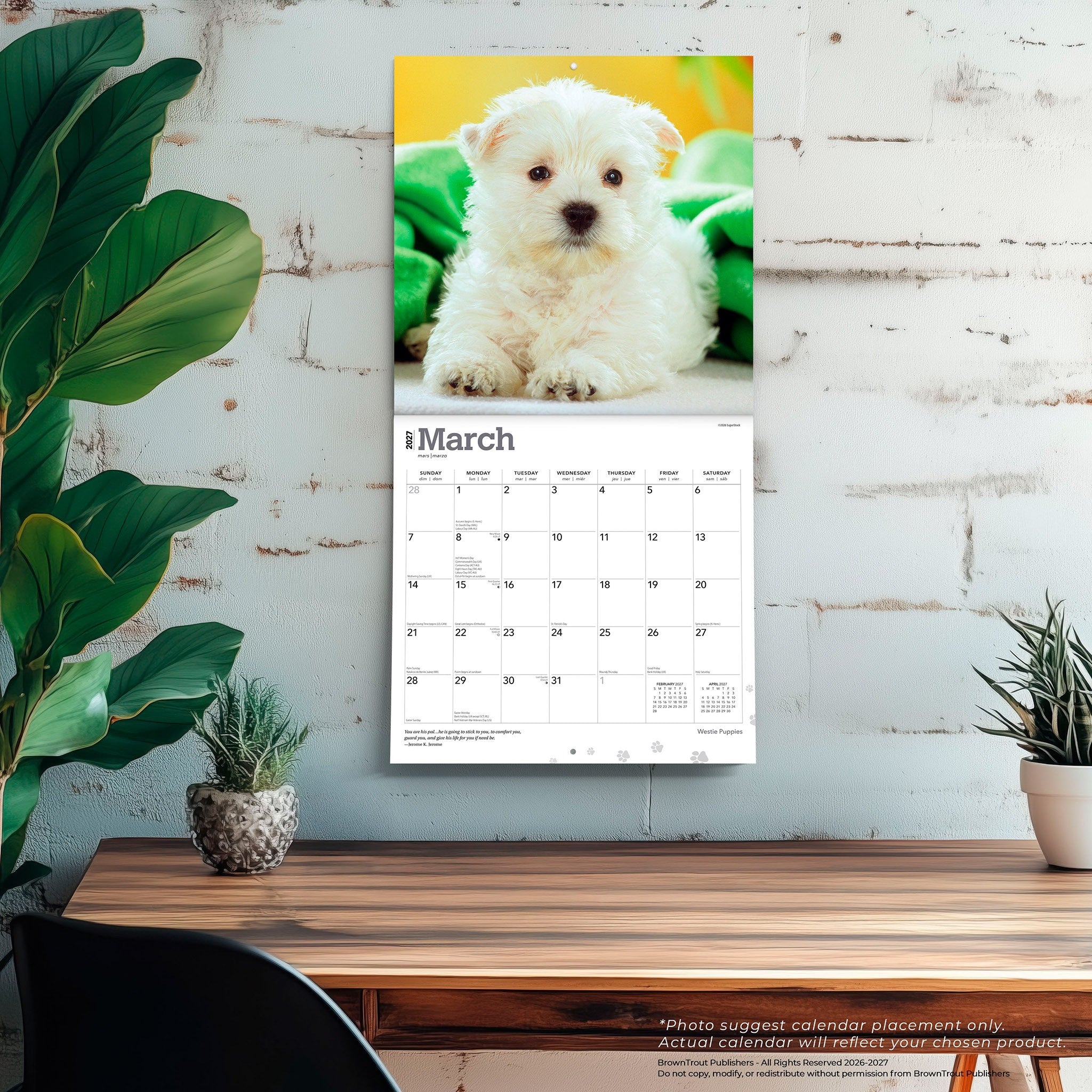 West Highland White Terrier Puppies 2027 Wall Calendar