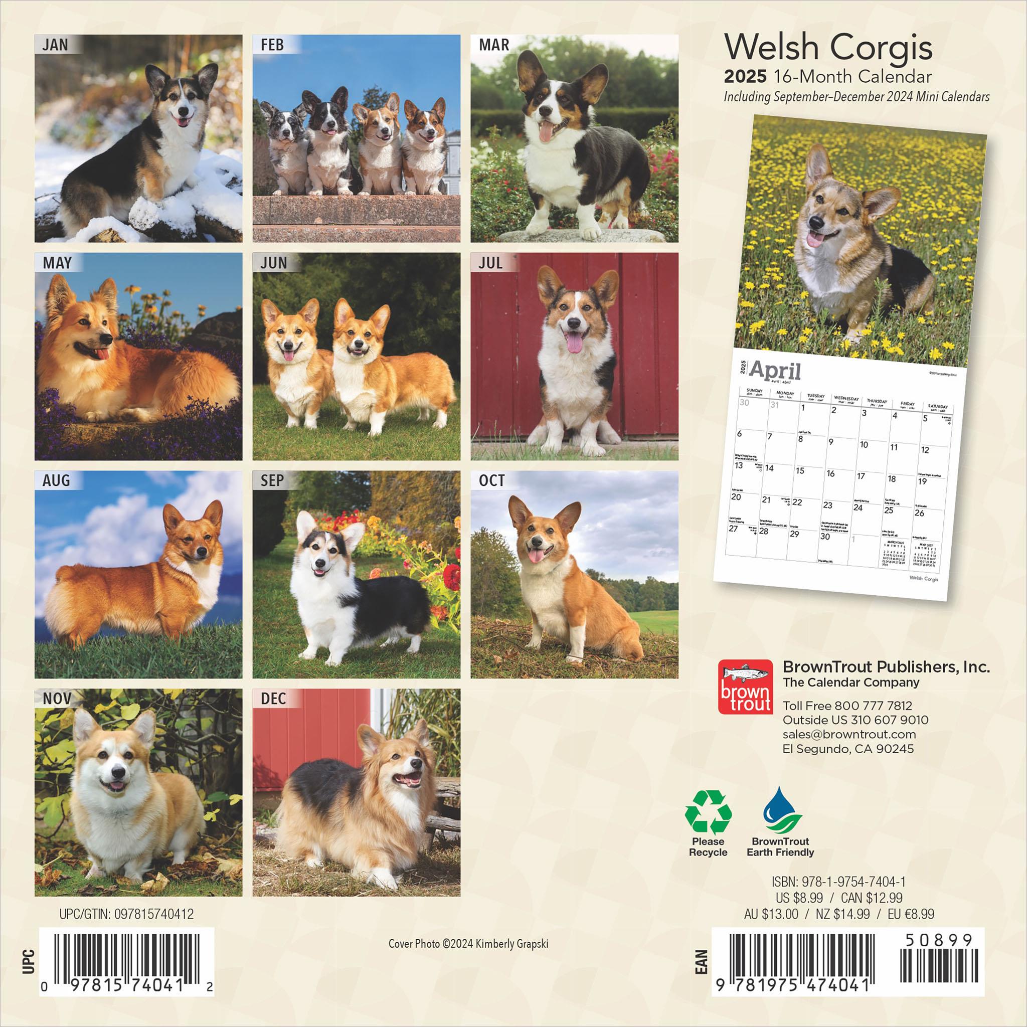 Corgis Welsh Mini 2025 Calendar