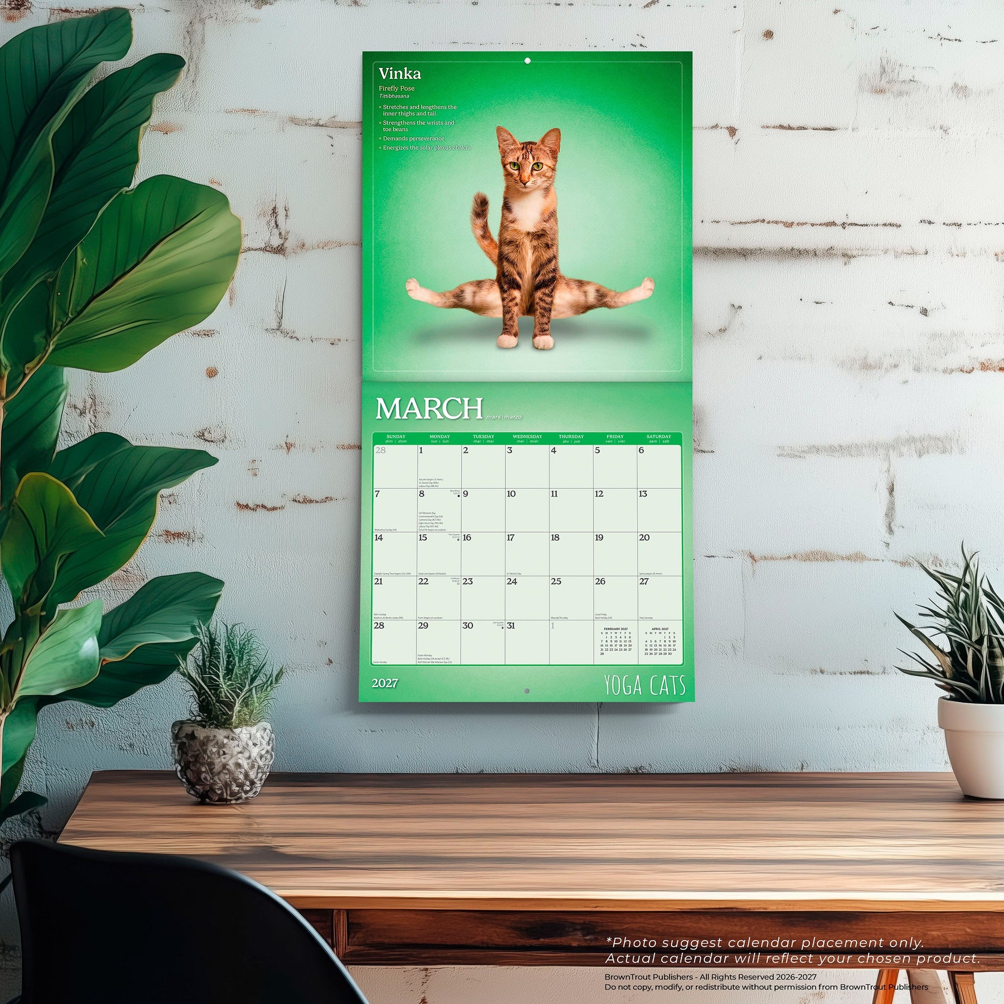 Yoga Cats 2027 Wall Calendar